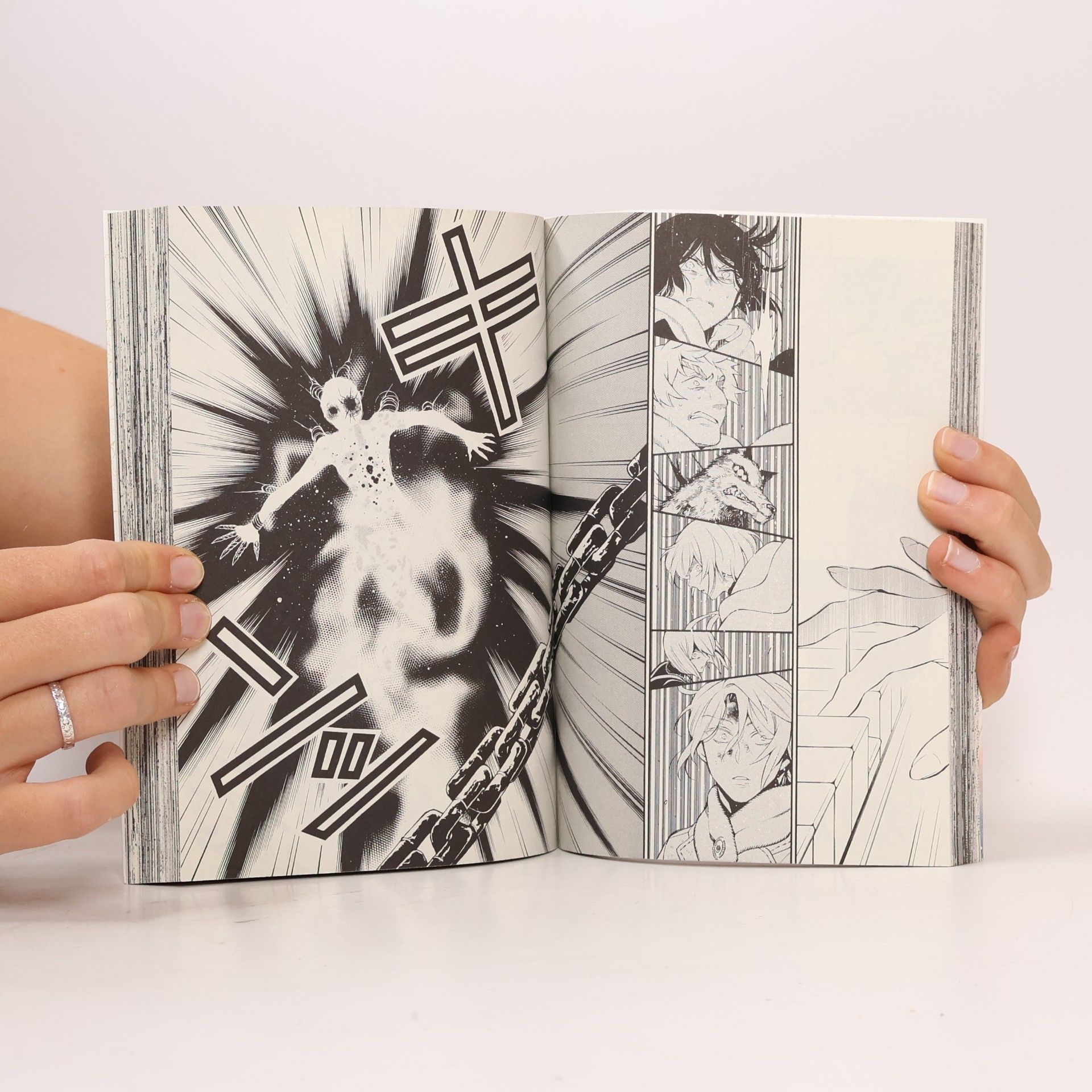 Jun Mochizuki ヴァニタスの手記