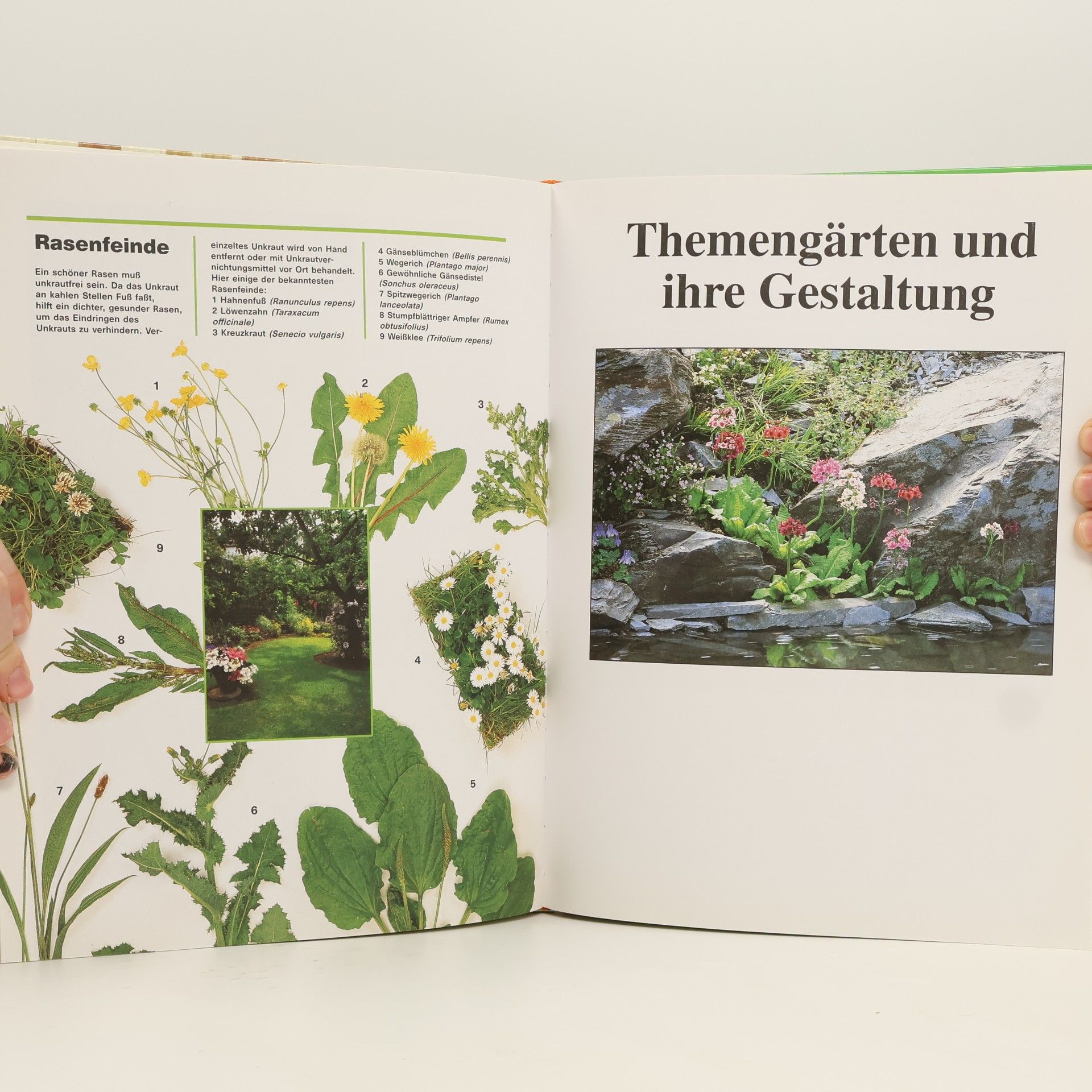 Das große Buch vom Garten