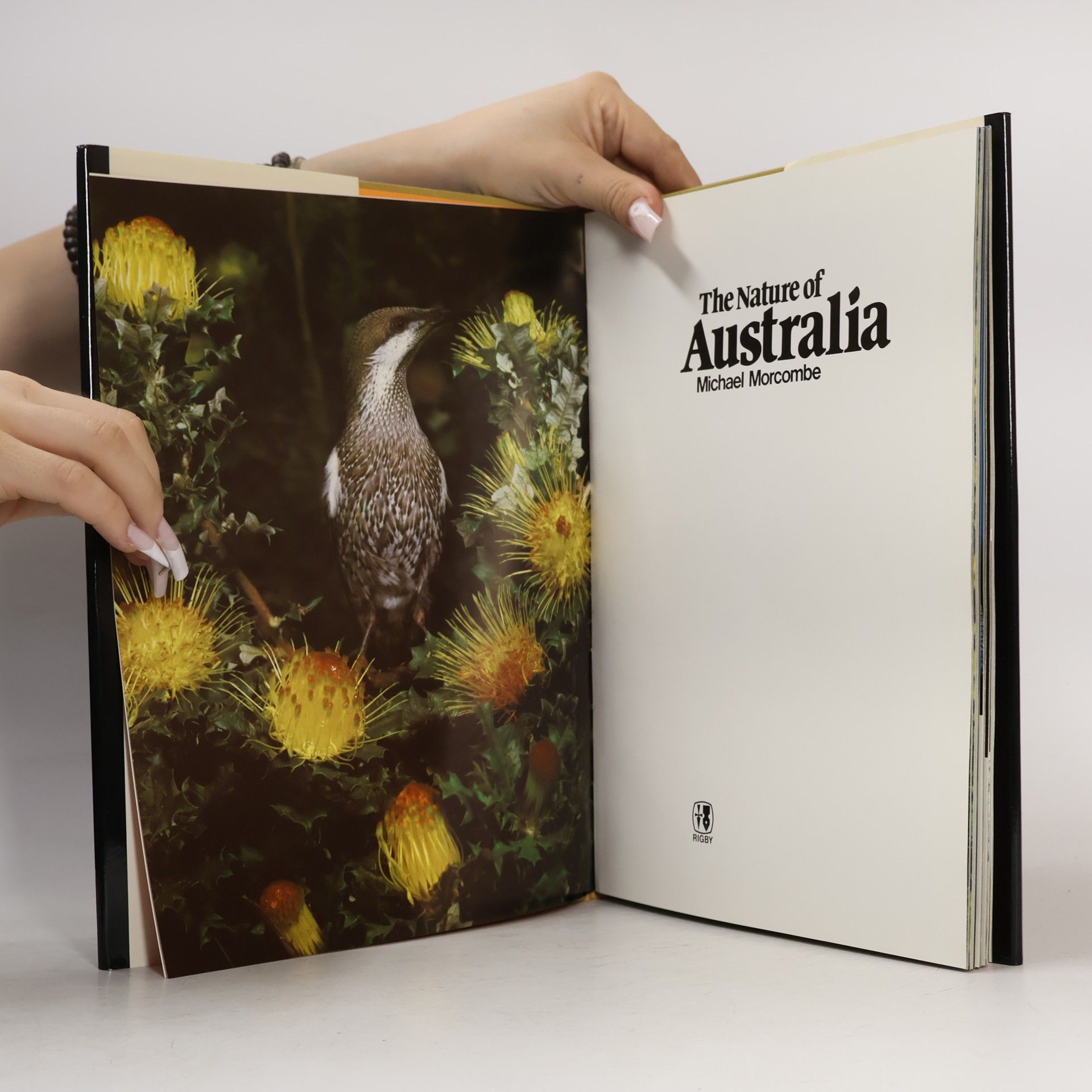 Michael Morcombe The Nature of Australia