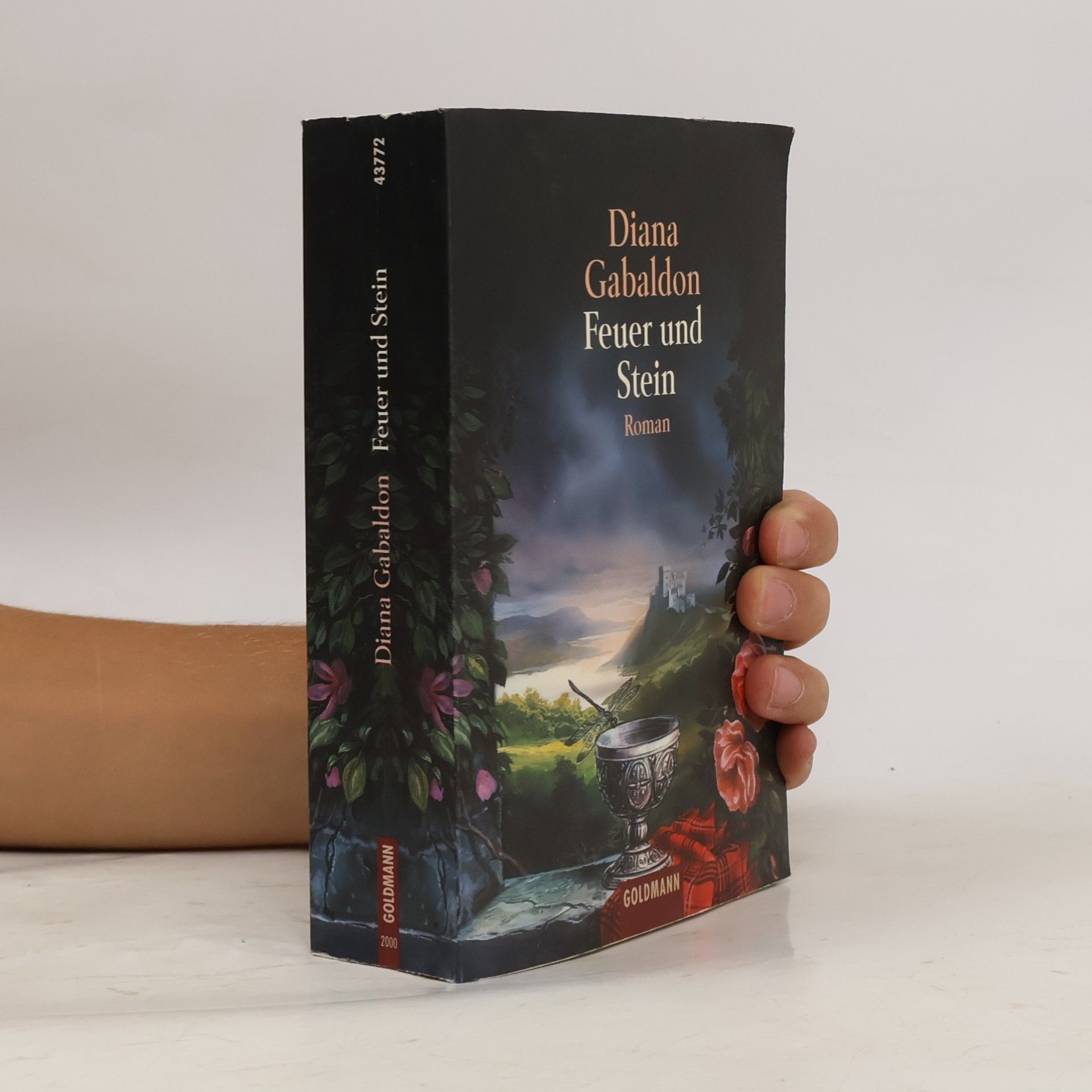 Diana Gabaldon Feuer und Stein