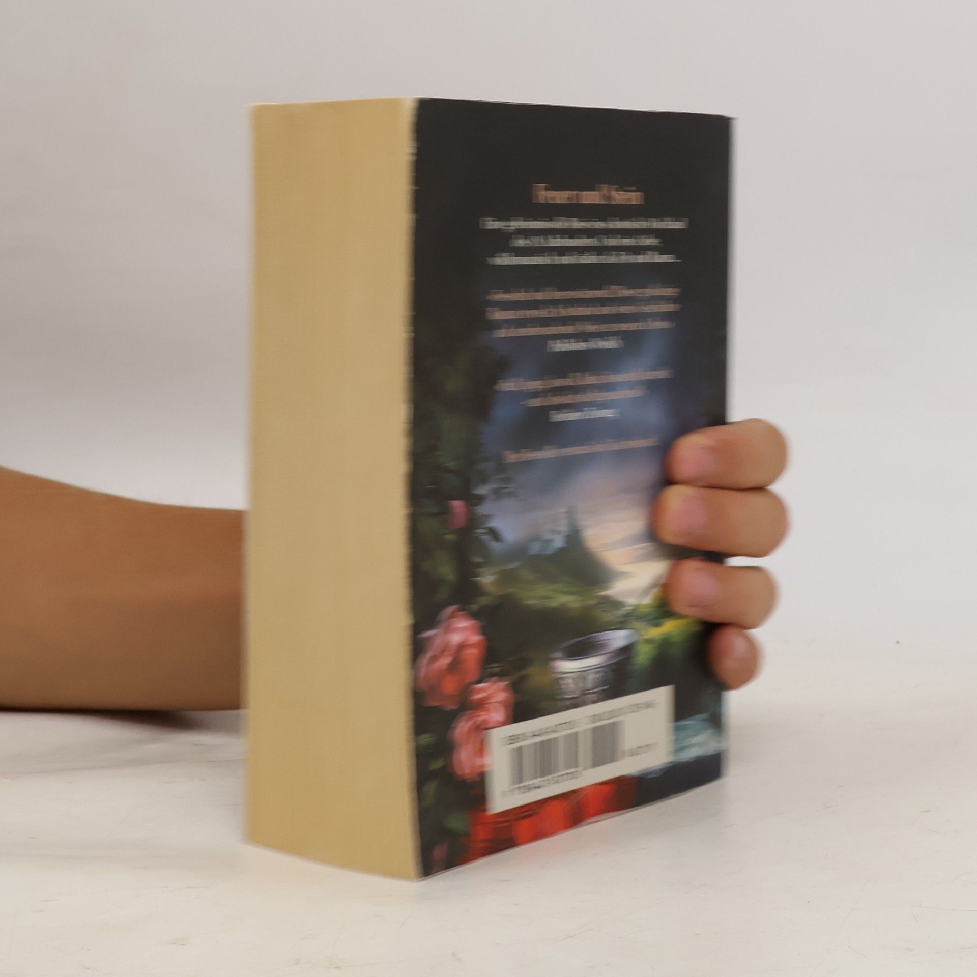 Diana Gabaldon Feuer und Stein
