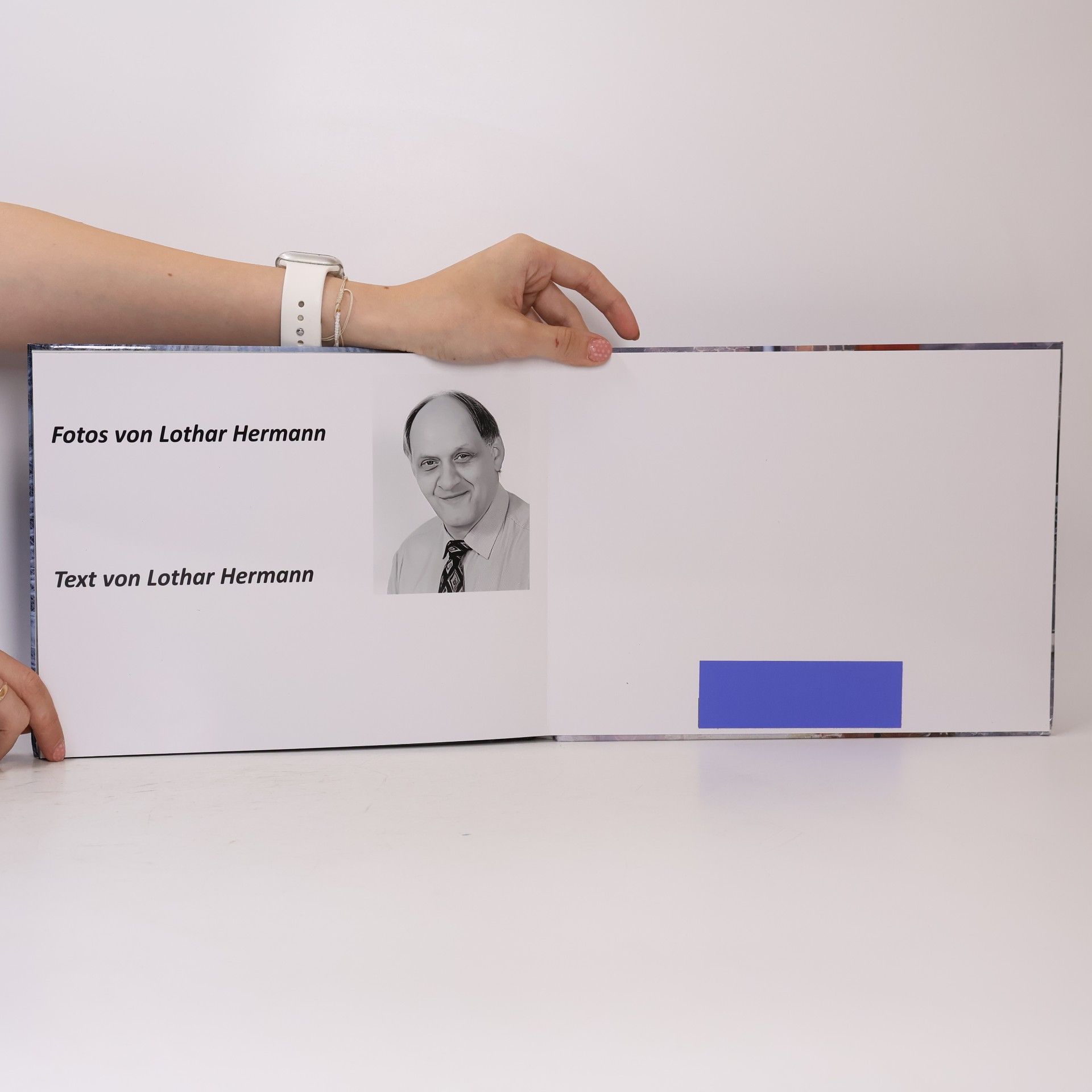 Lothar Hermann  Schlagworte, Sprüche und Schlagzeilen