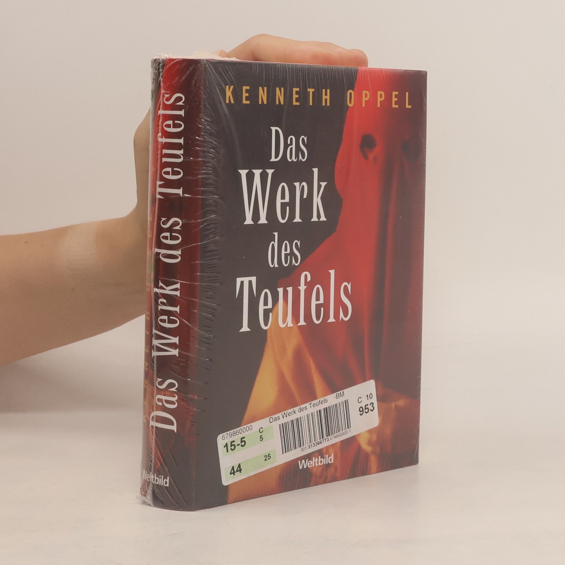 Kenneth Oppel Das Werk des Teufels