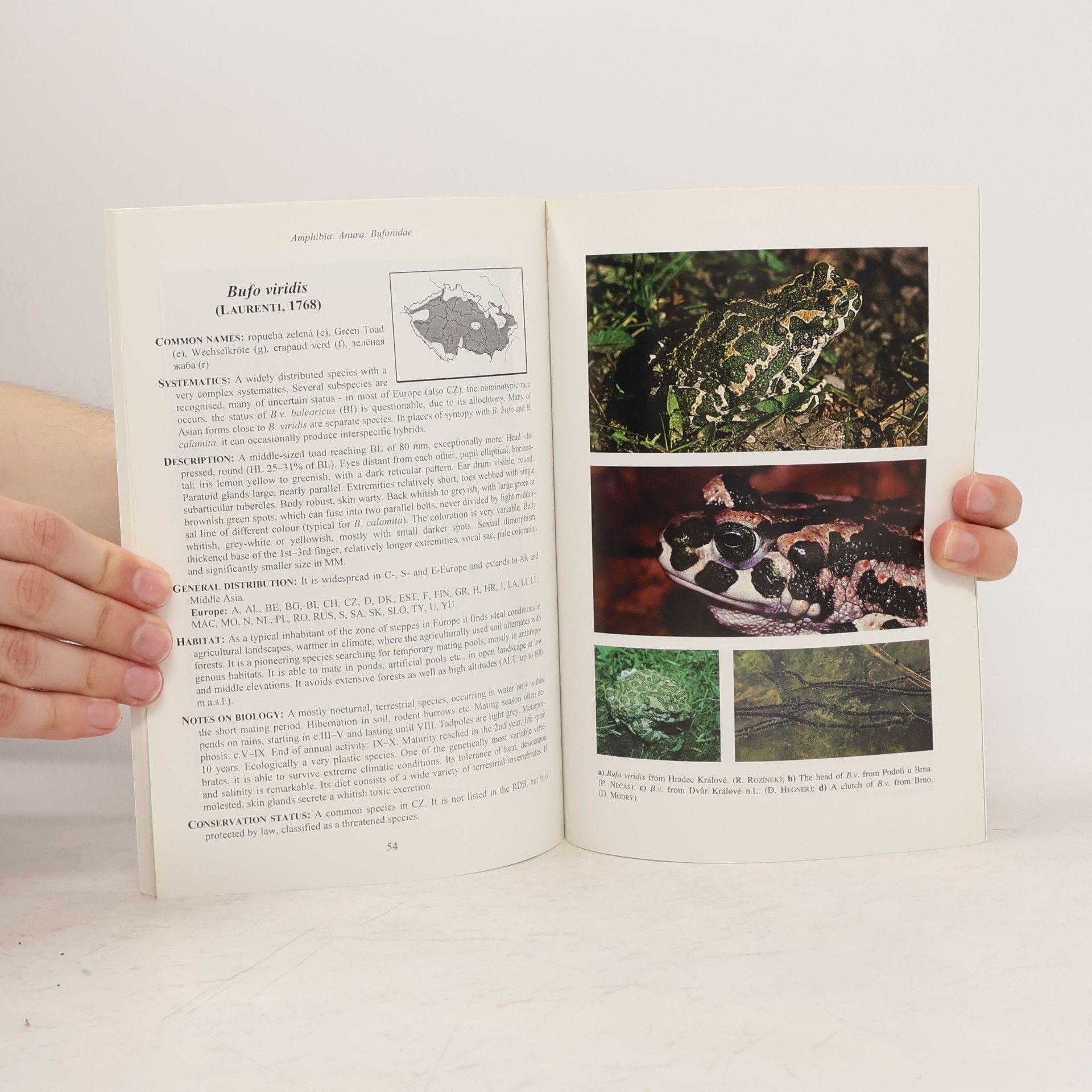 Petr Nečas Czech Recent and Fossil Amphibians and Reptiles
