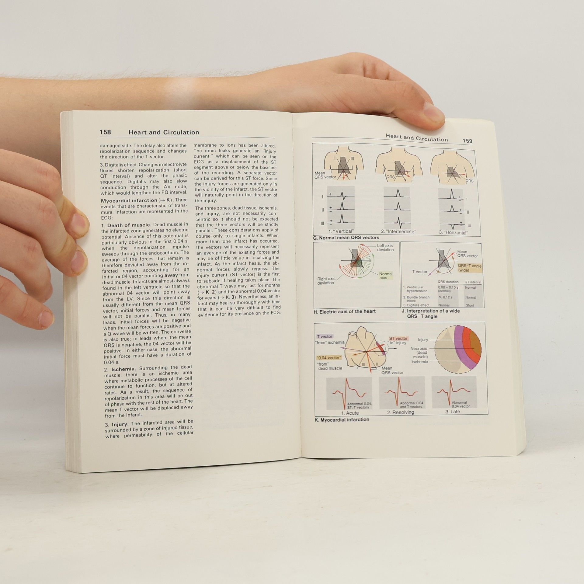 Agamemnon Despopoulos Color atlas of physiology