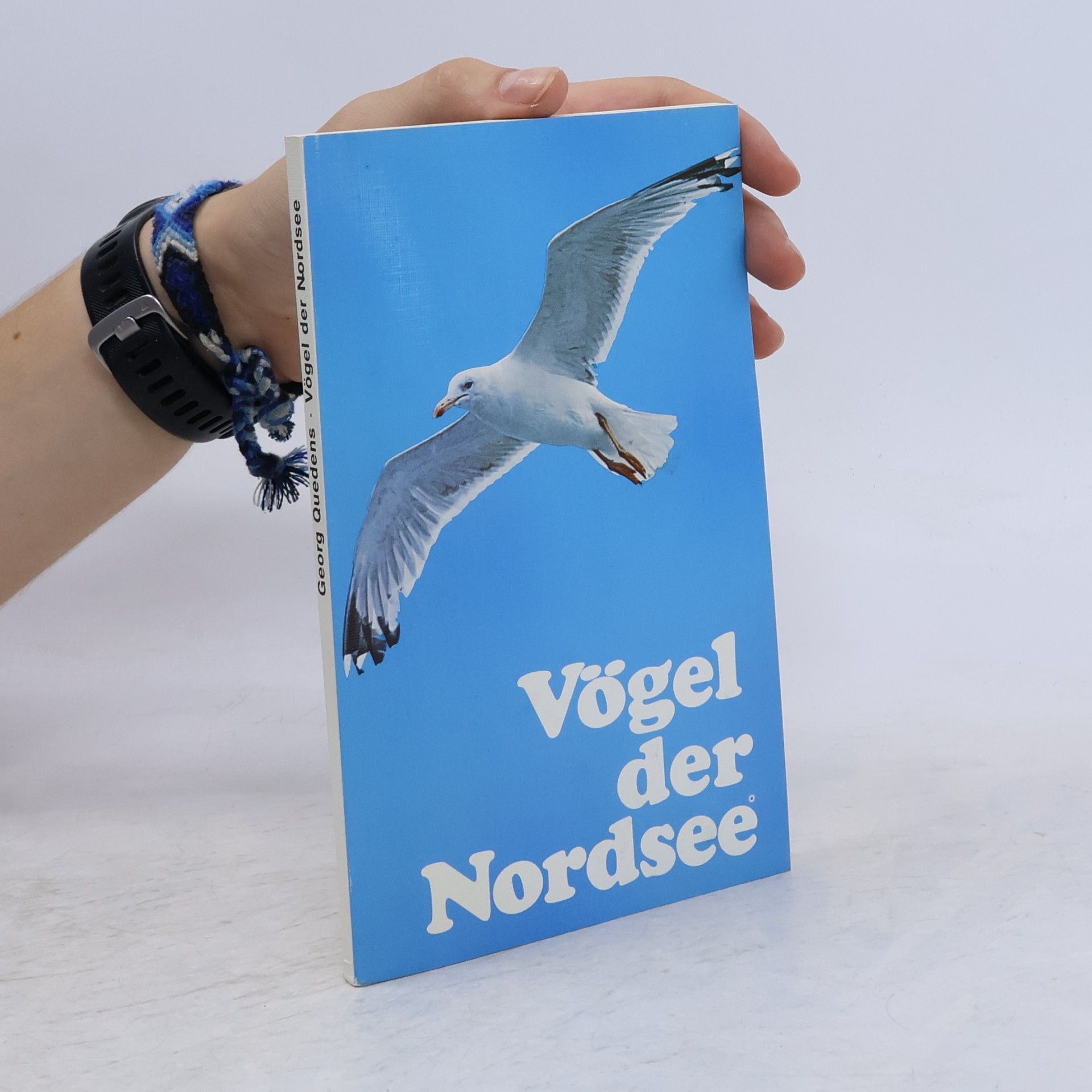 Vögel der Küsten