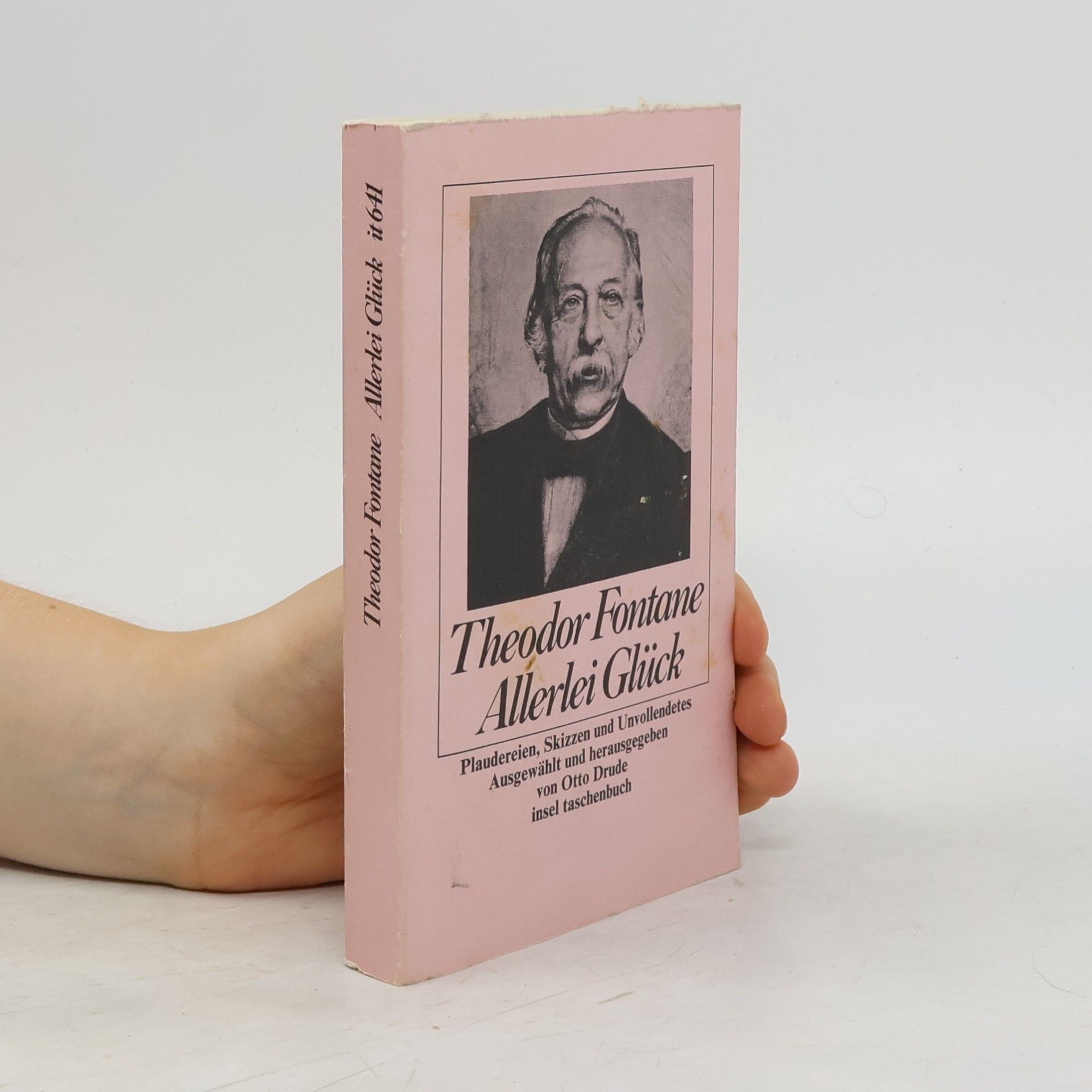 Theodor Fontane Allerlei Glück