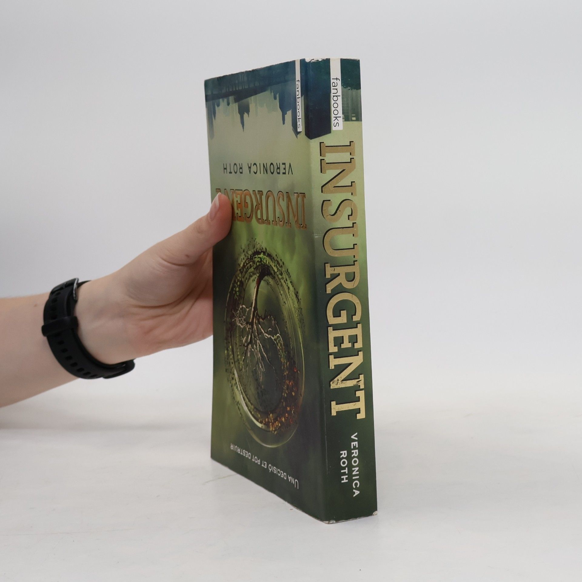 Veronica Roth Divergent 2. Insurgent