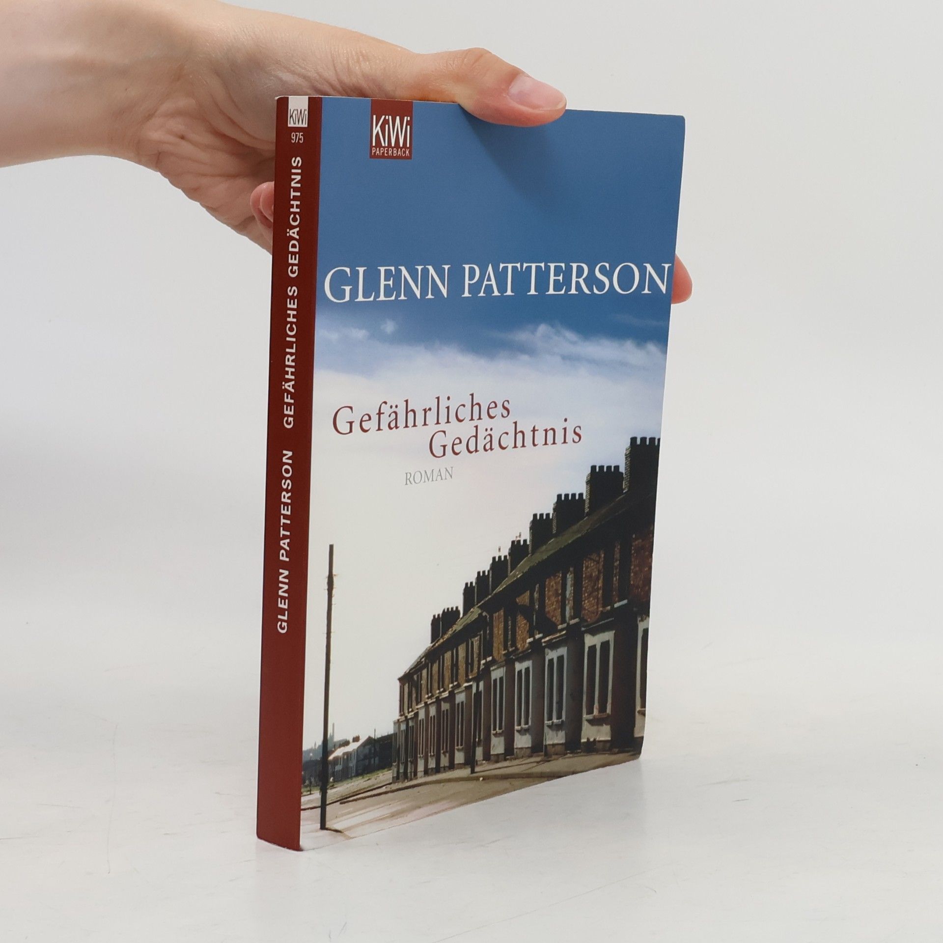 Glenn Patterson Gefährliches Gedächtnis