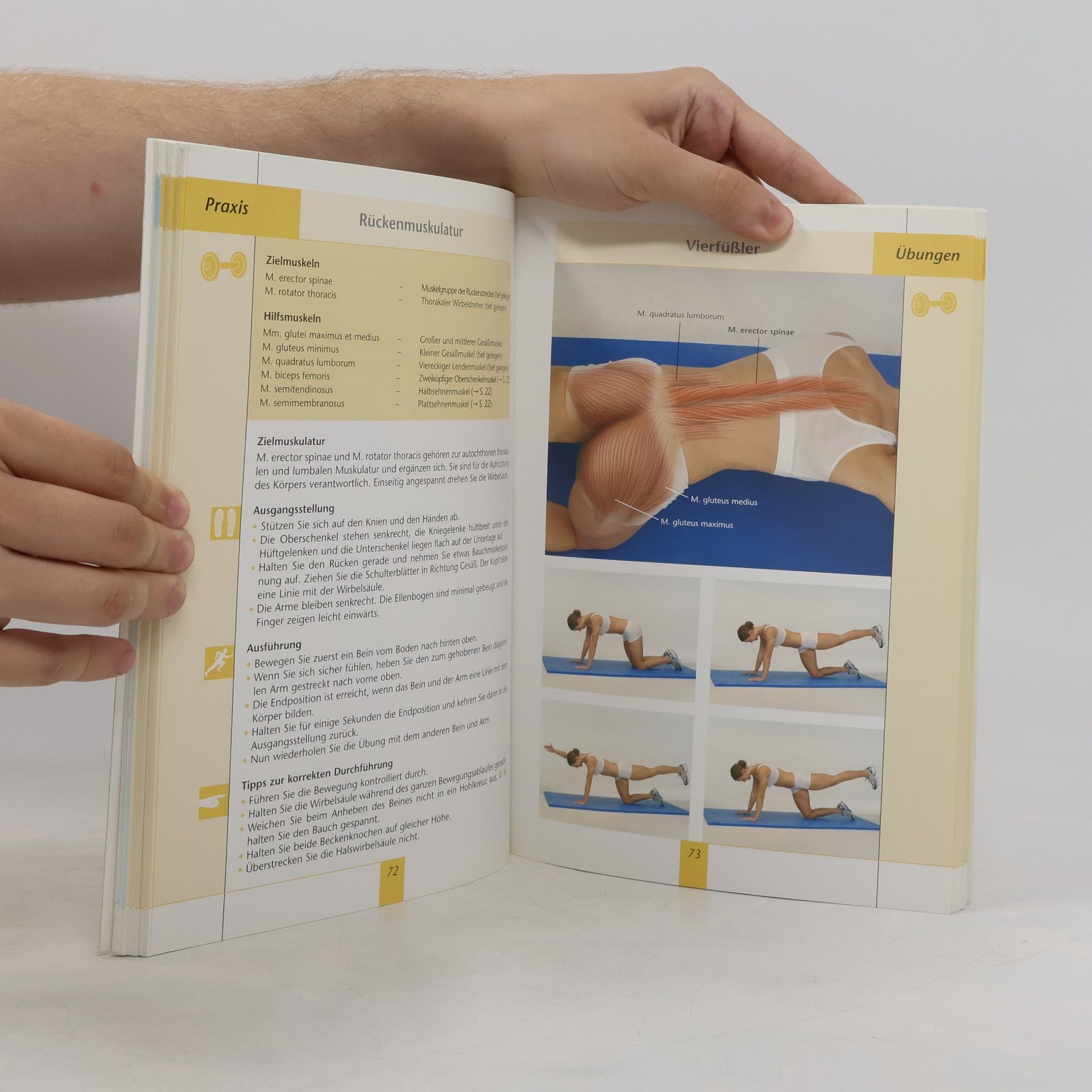 Heike Drude Fitness-Guide für Frauen