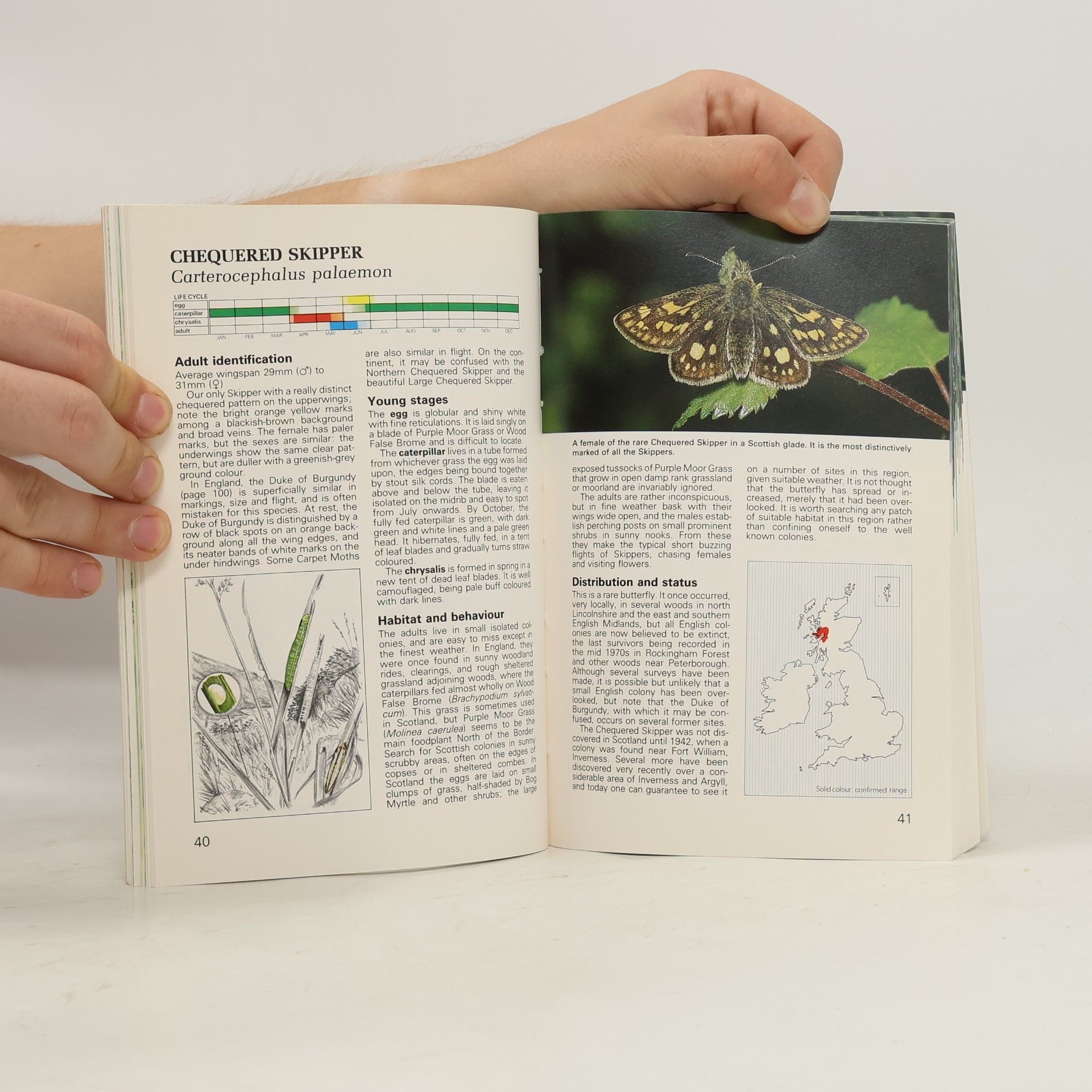 Jeremy A. Thomas Royal Society for Nature Conservation Guide to the Butterflies of the British Isles