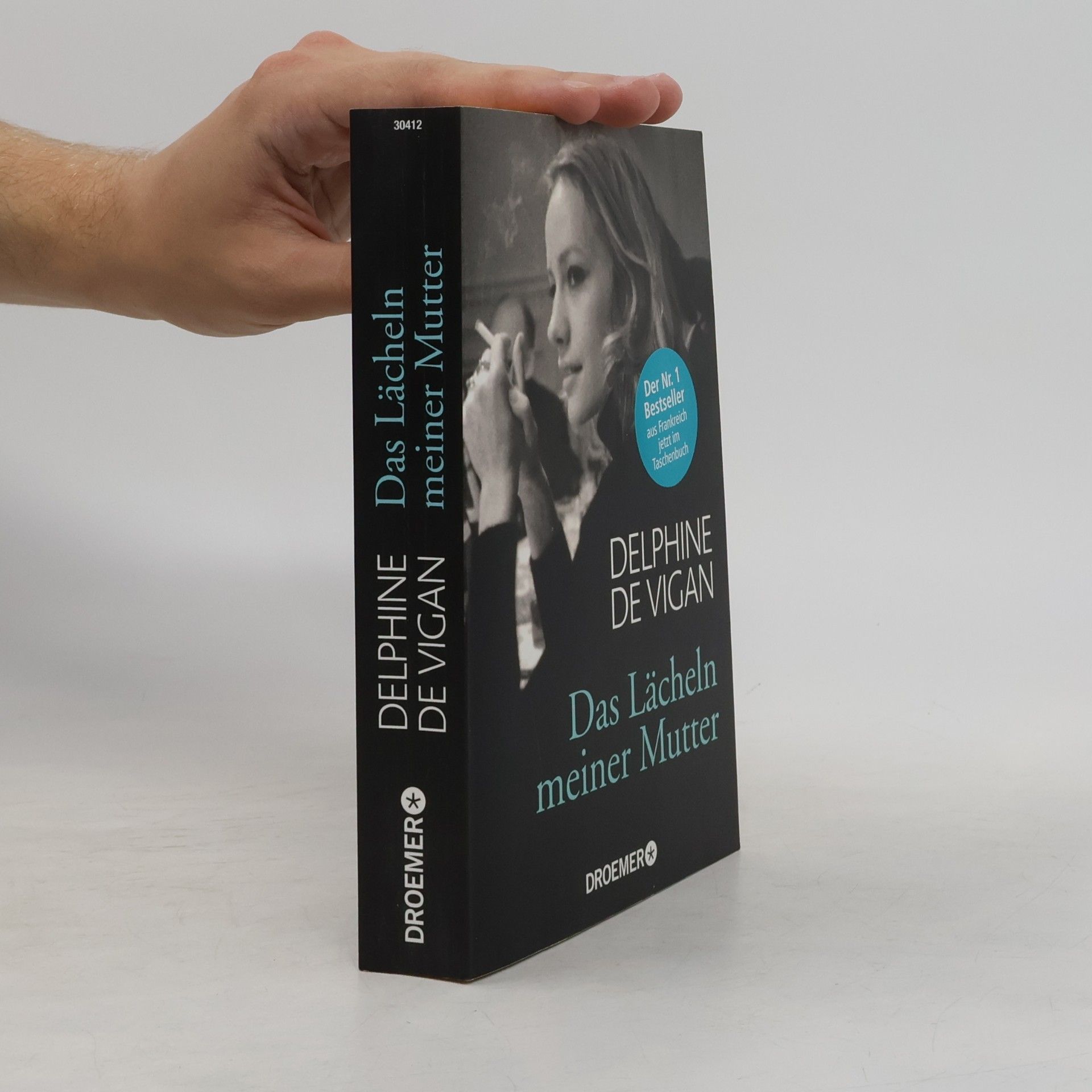 Delphine de Vigan Das Lächeln meiner Mutter