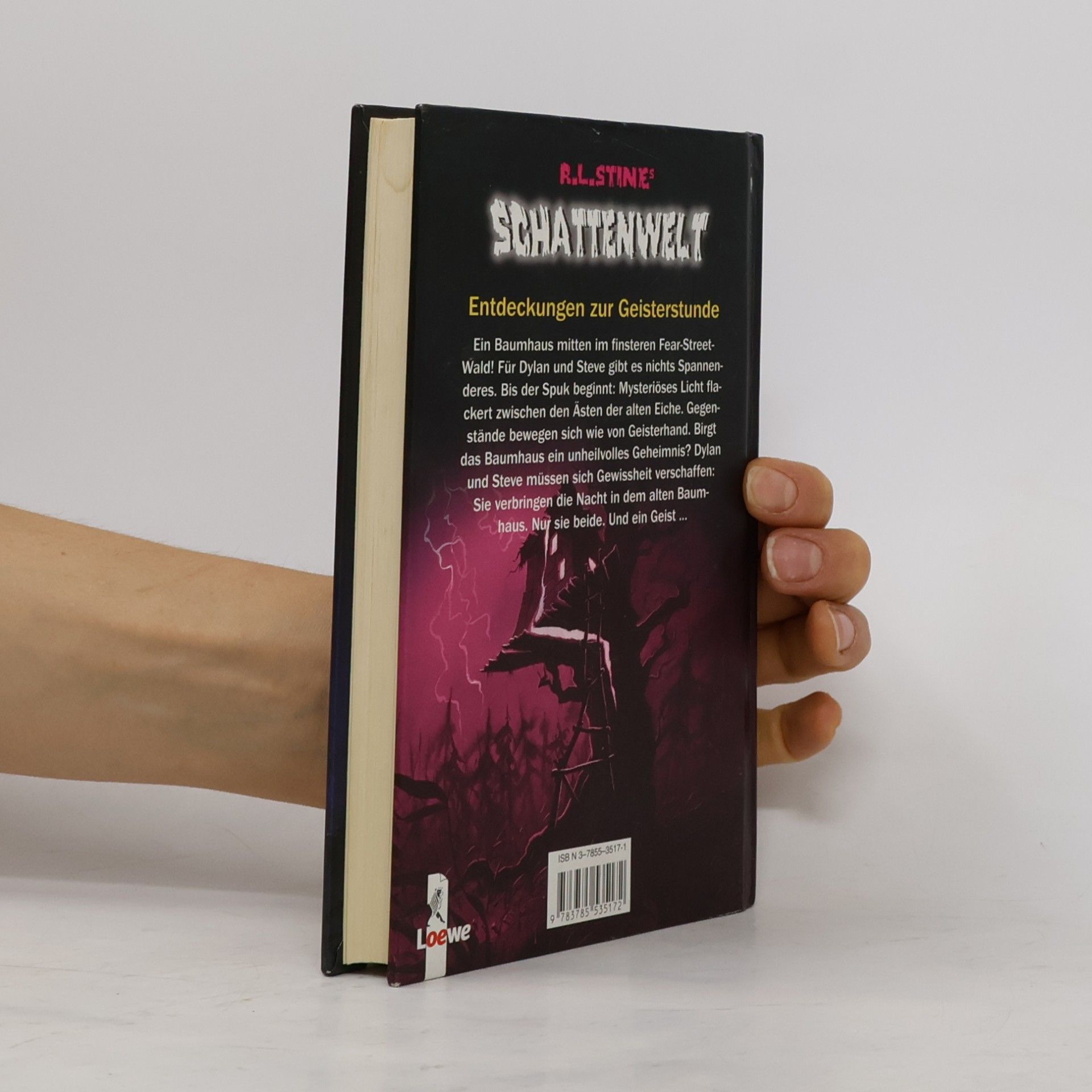 R. L. Stine Schattenwelt. Das unheimliche Baumhaus.