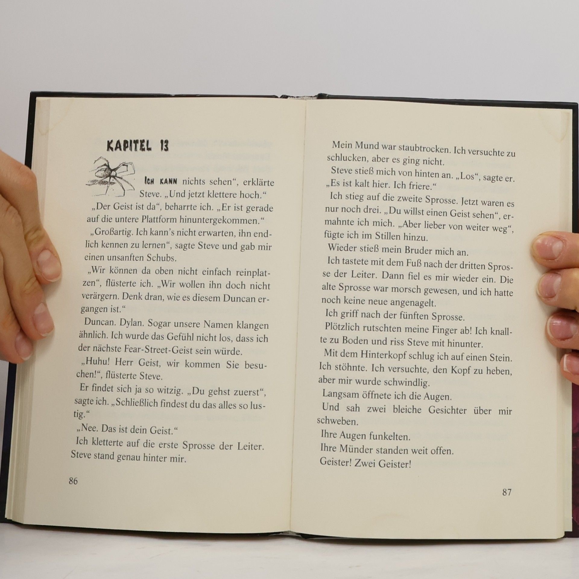 R. L. Stine Schattenwelt. Das unheimliche Baumhaus.