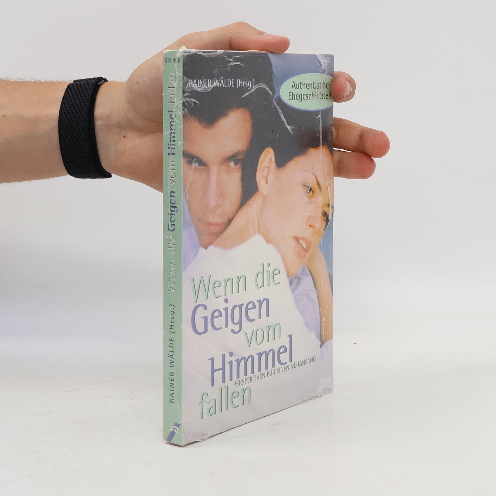 Rainer Wälde Wenn die Geigen vom Himmel fallen