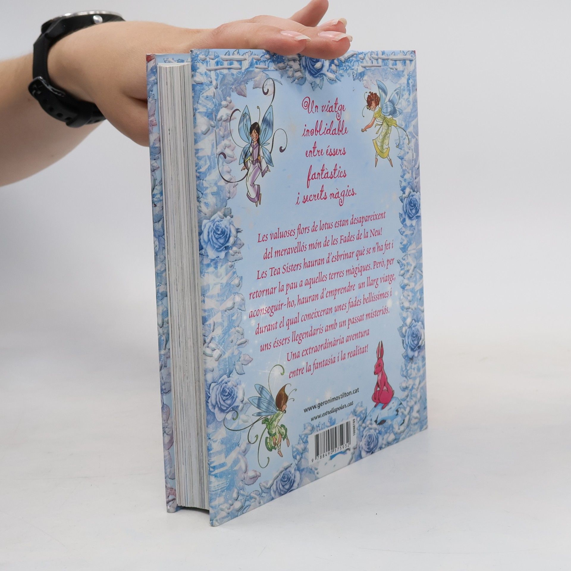Tea Stilton Tea Stilton: El secret de les fades de la neu