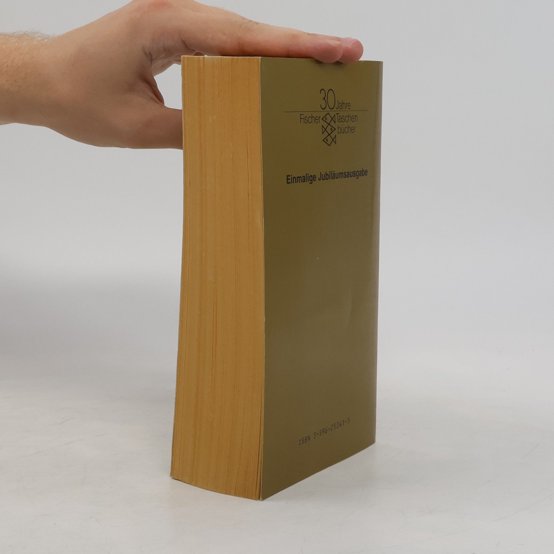 Doris Lessing Das goldene Notizbuch