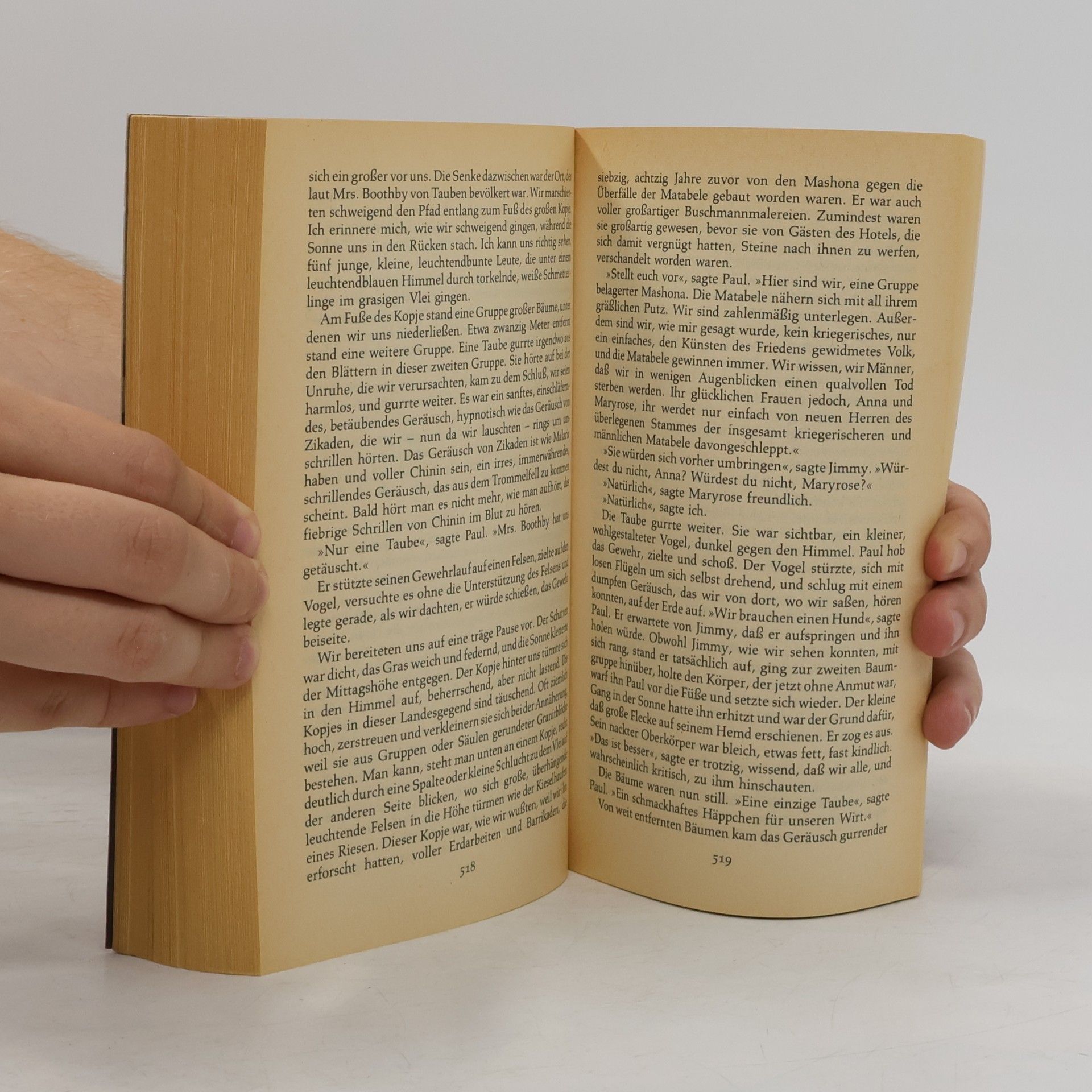 Doris Lessing Das goldene Notizbuch