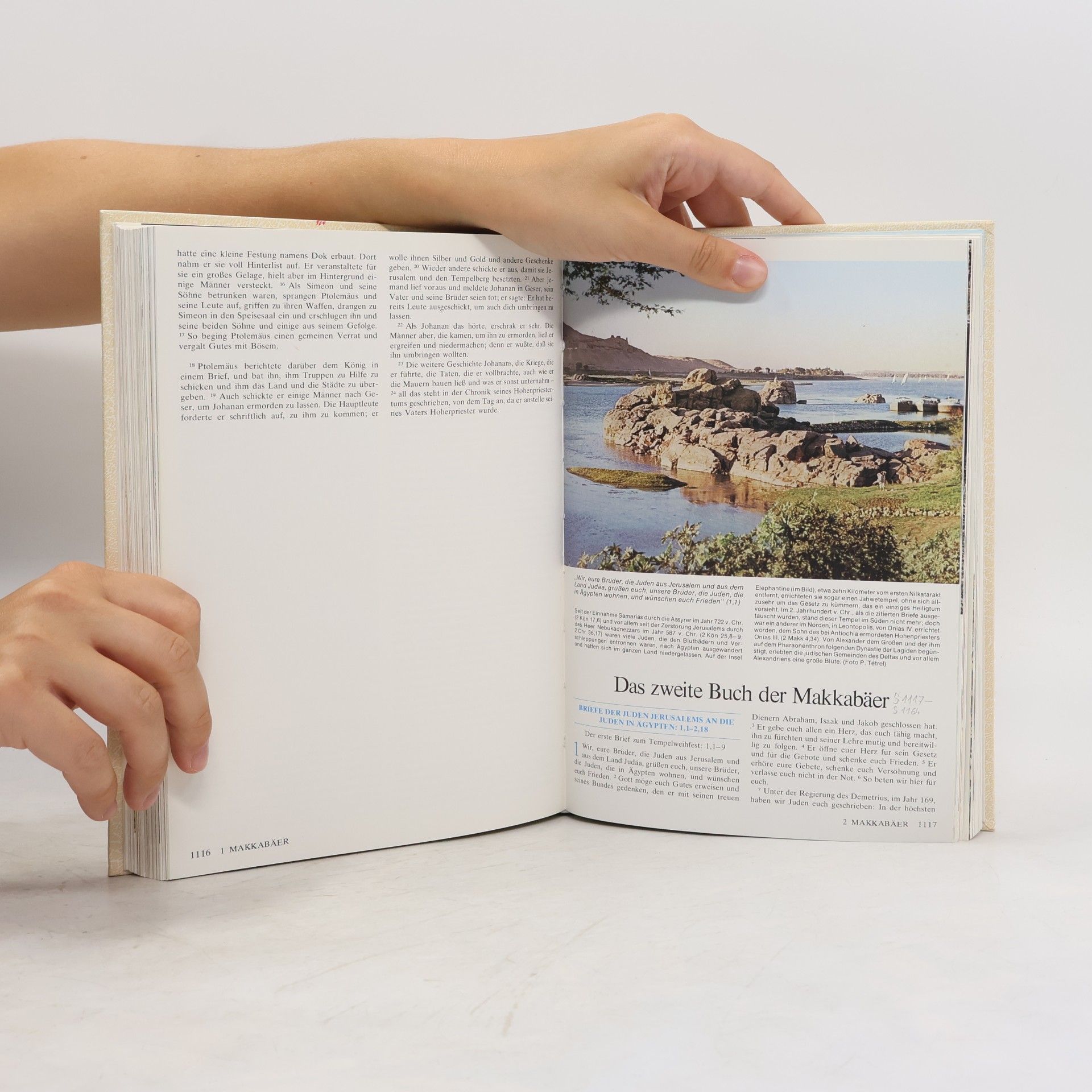 Autorenkollektiv Bibel. In Wort und Bild 3