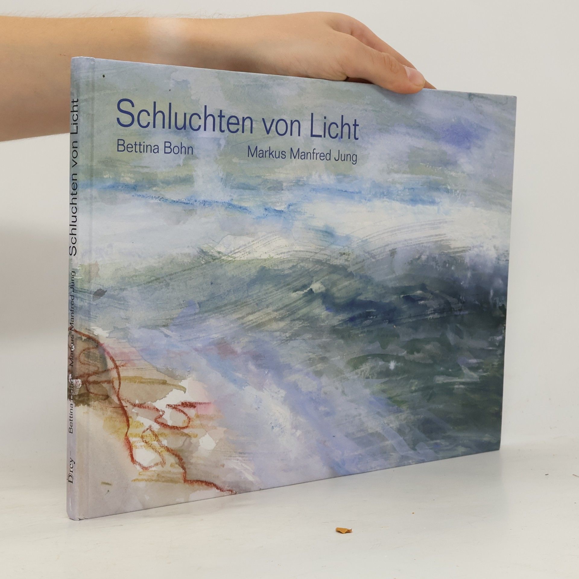 Bettina Böhn Schluchten von Licht