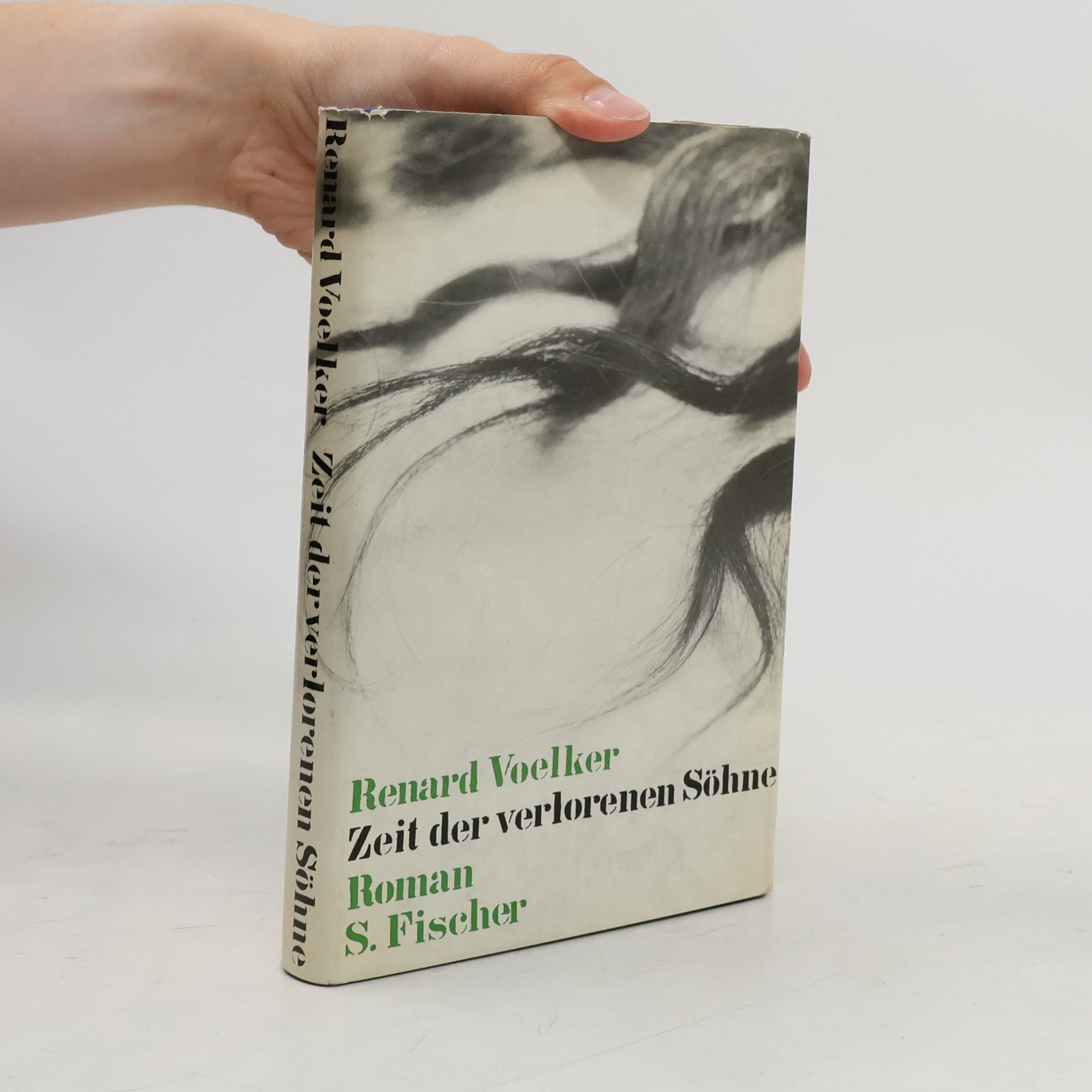 Renard Voelker Zeit der verlorenen Söhne