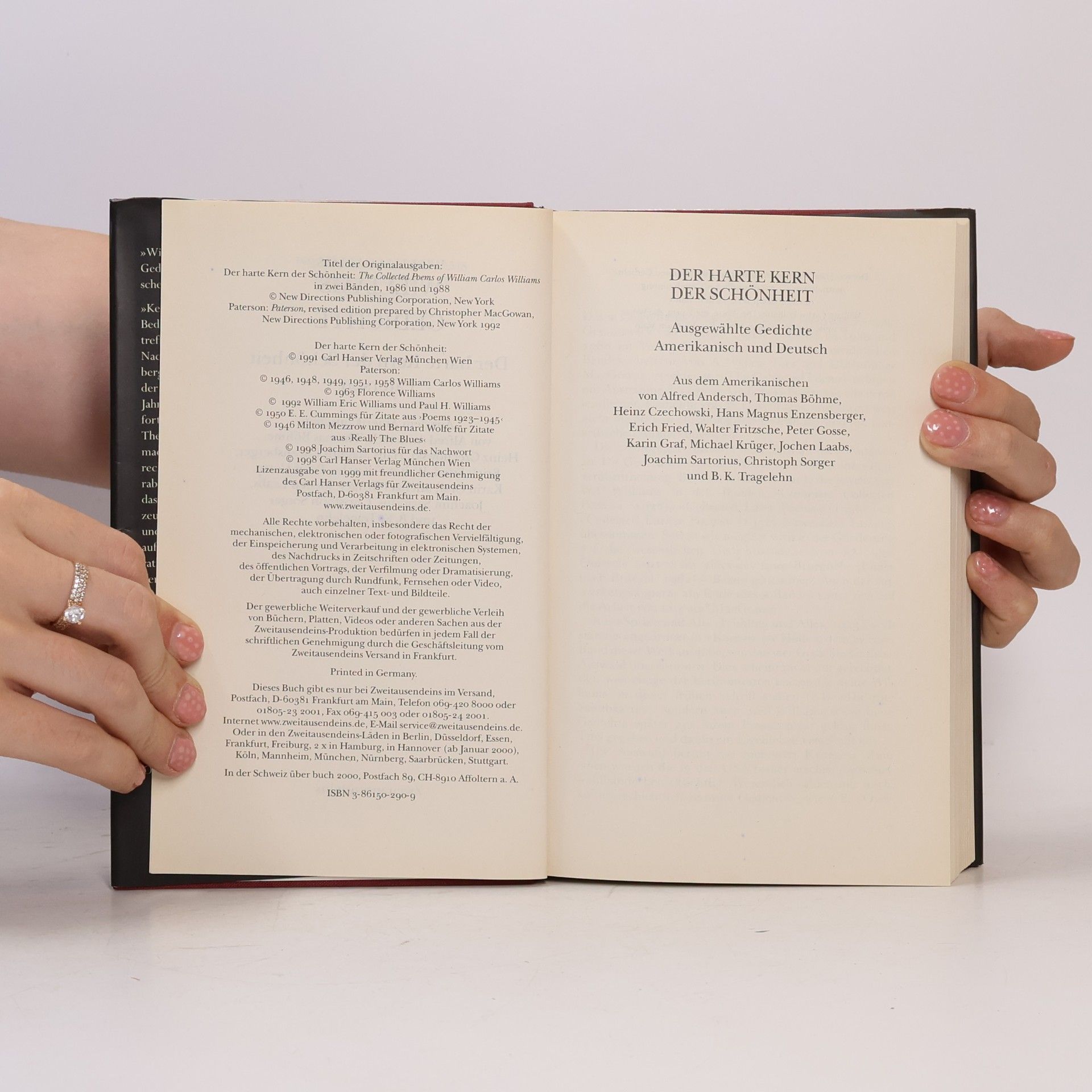 William Carlos Williams Der harte Kern der Schönheit. Ausgewählte Gedichte amerikanisch und deutsch