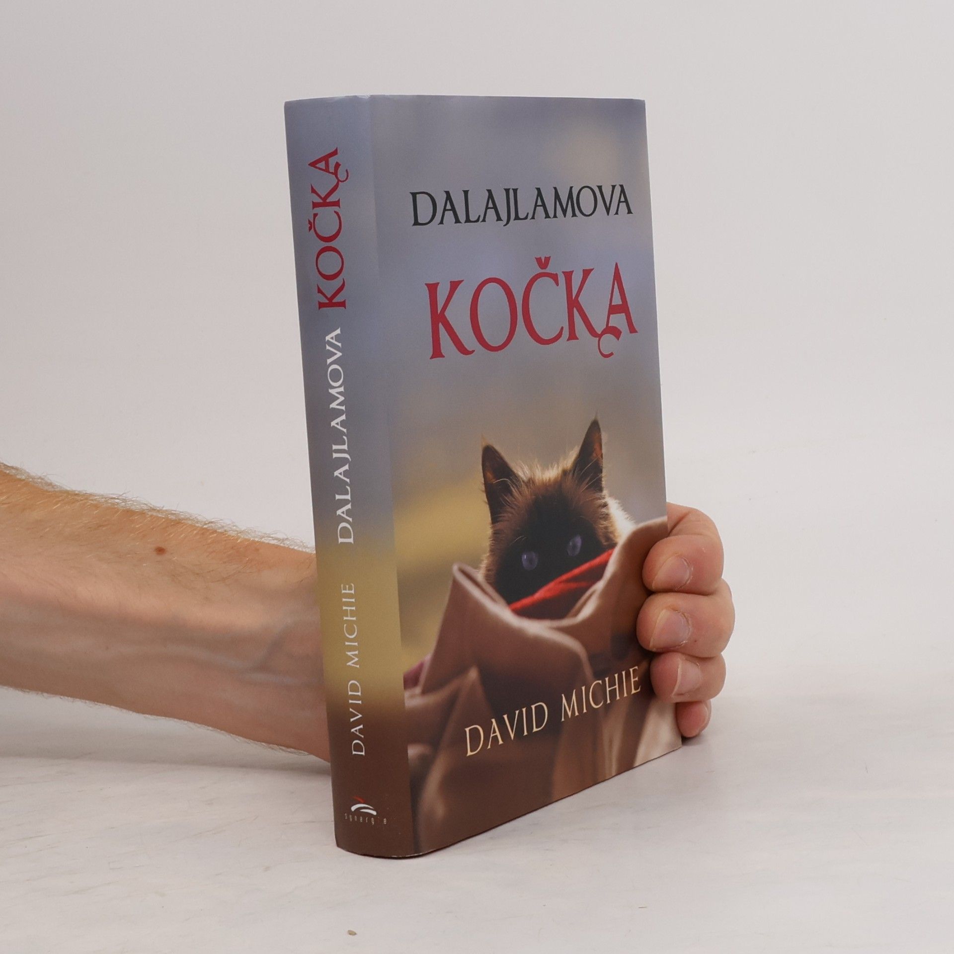 David Michie Dalajlamova kočka