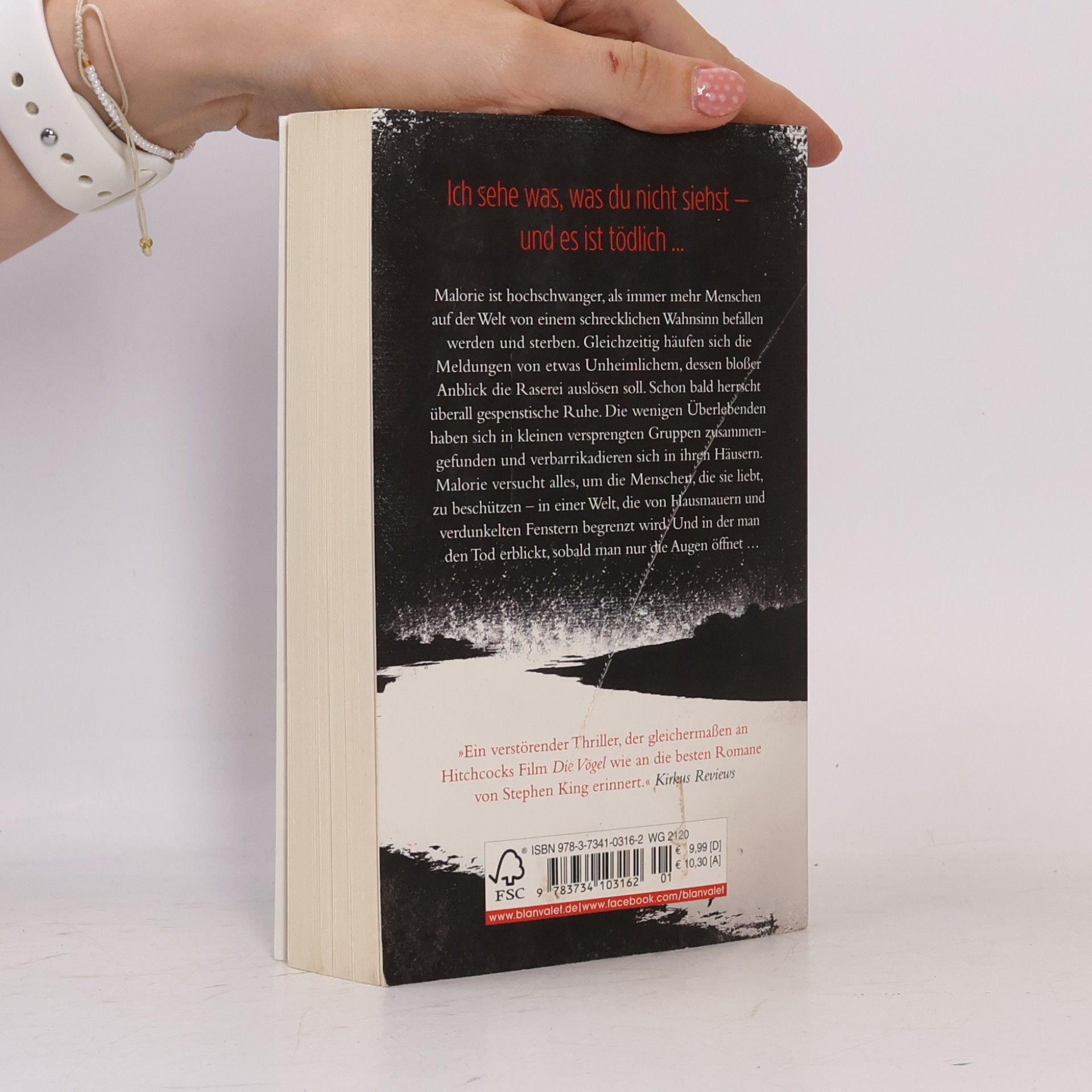 Josh Malerman Der Fluss