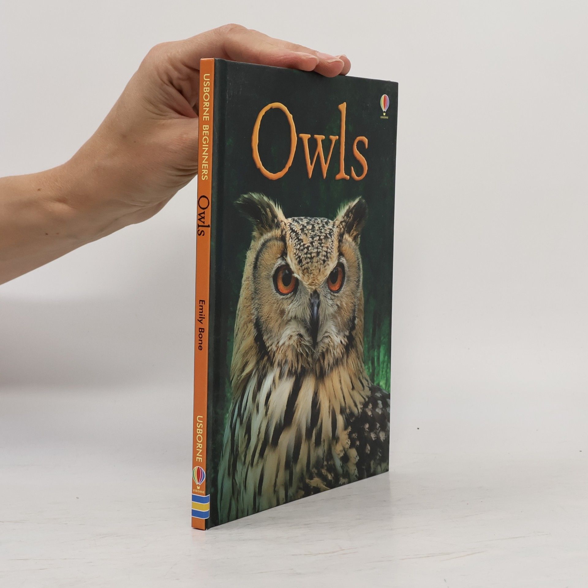 Jenny Cooper Usborne Beginners: Owls