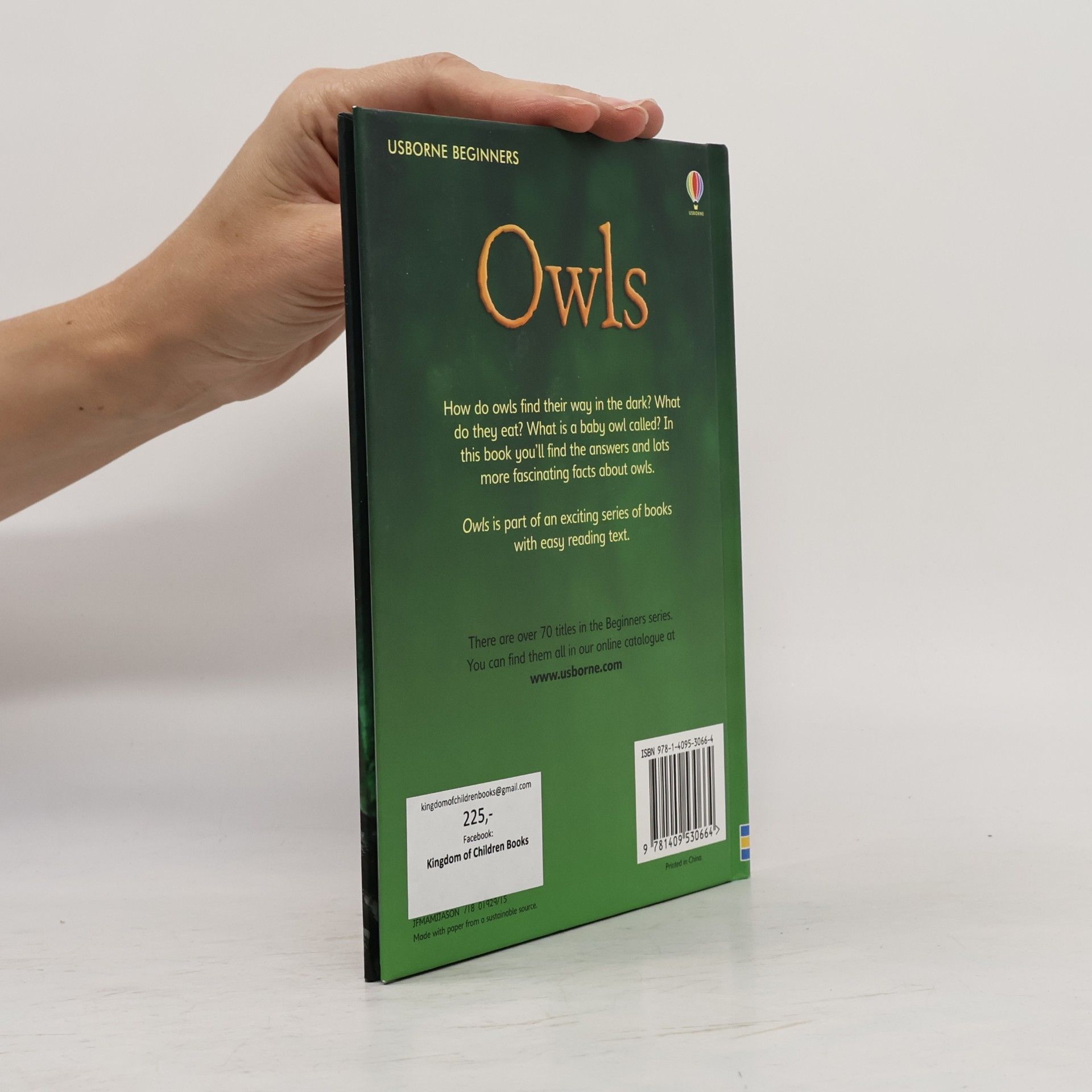 Emily Bone Usborne Beginners: Owls