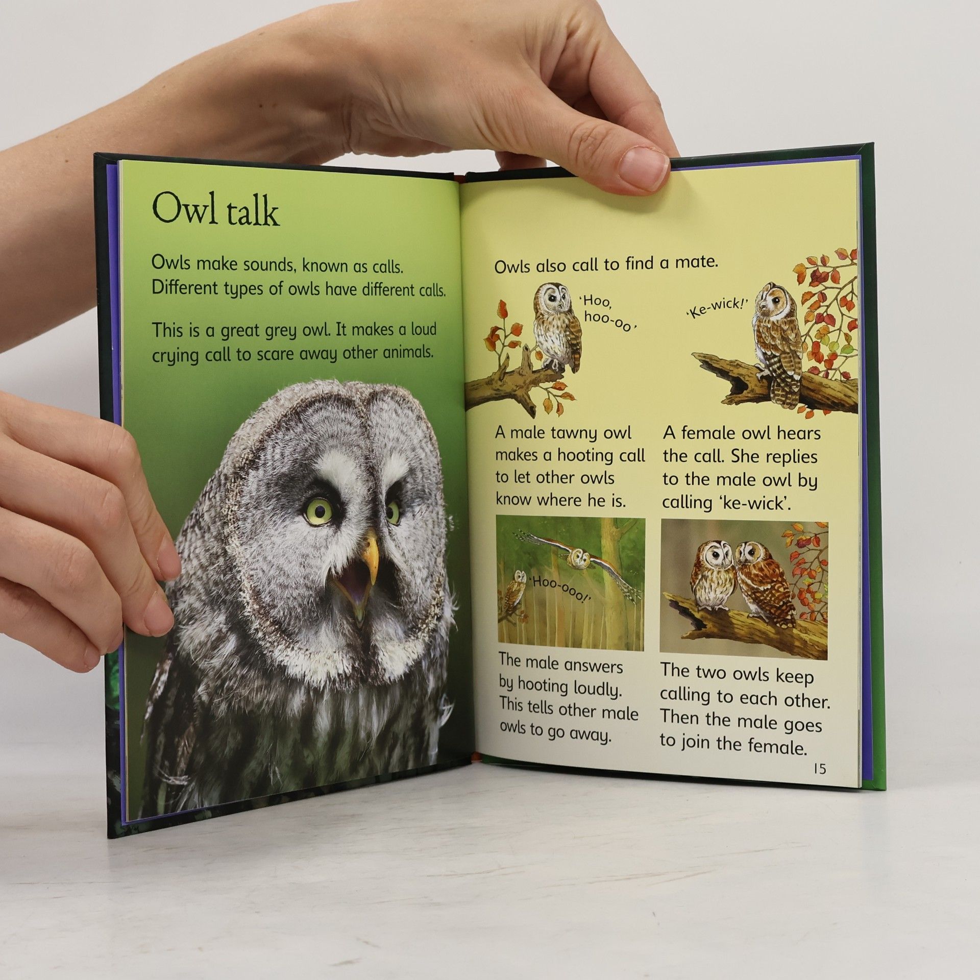 Emily Bone Usborne Beginners: Owls