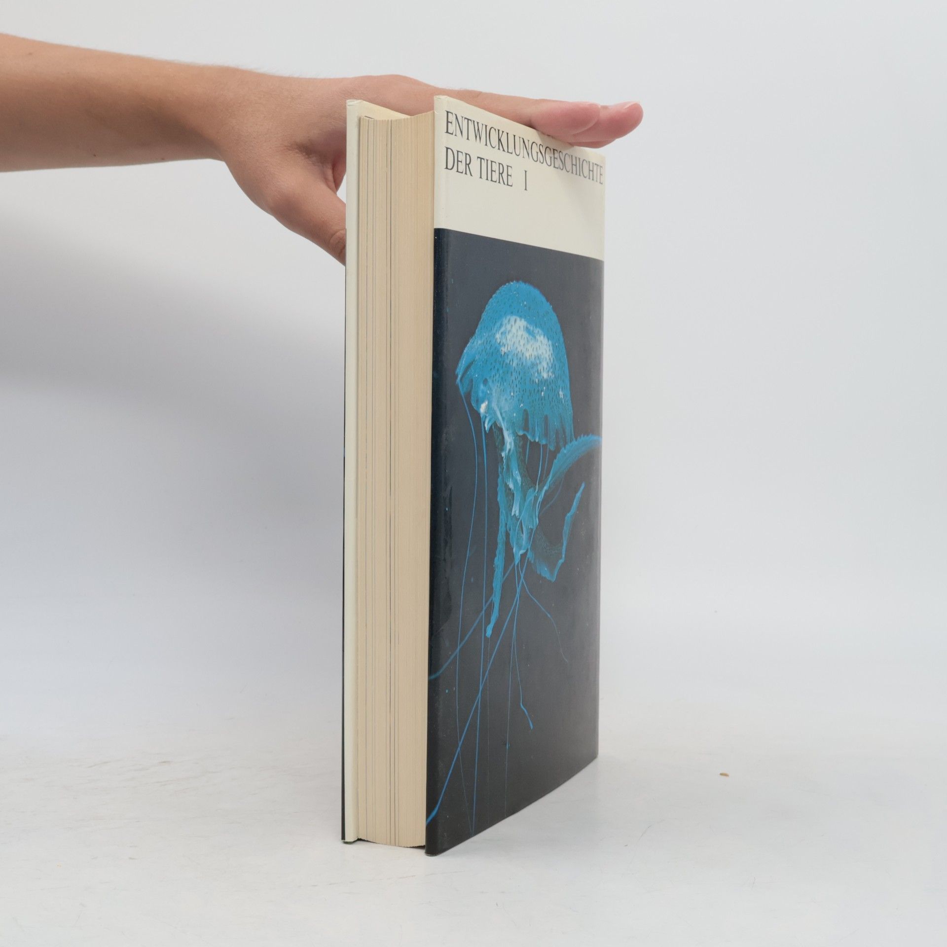 Alfred S. Romer Entwicklungsgeschichte der Tiere 1