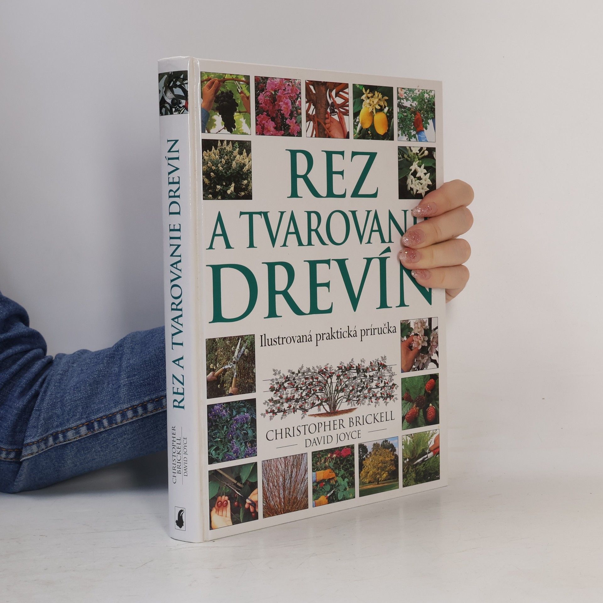 David Joyce Rez a tvarovanie drevín