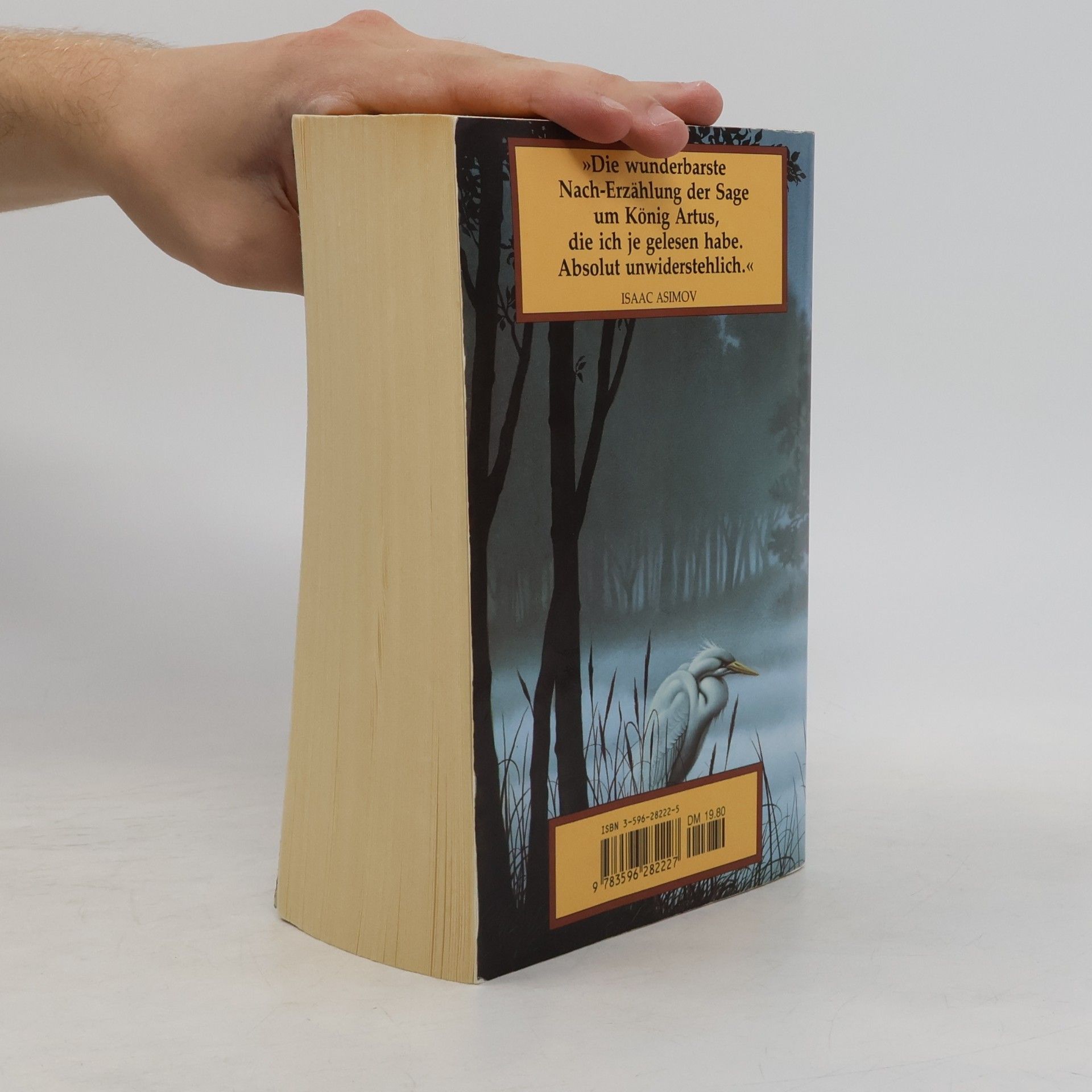 Marion Zimmer Bradley Die Nebel von Avalon