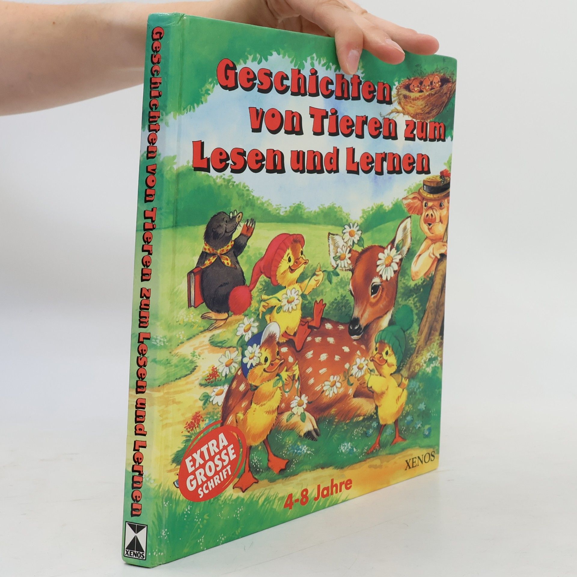 Various authors Geschichten von Tieren zum Lesen und Lernen. 4-8 Jahre