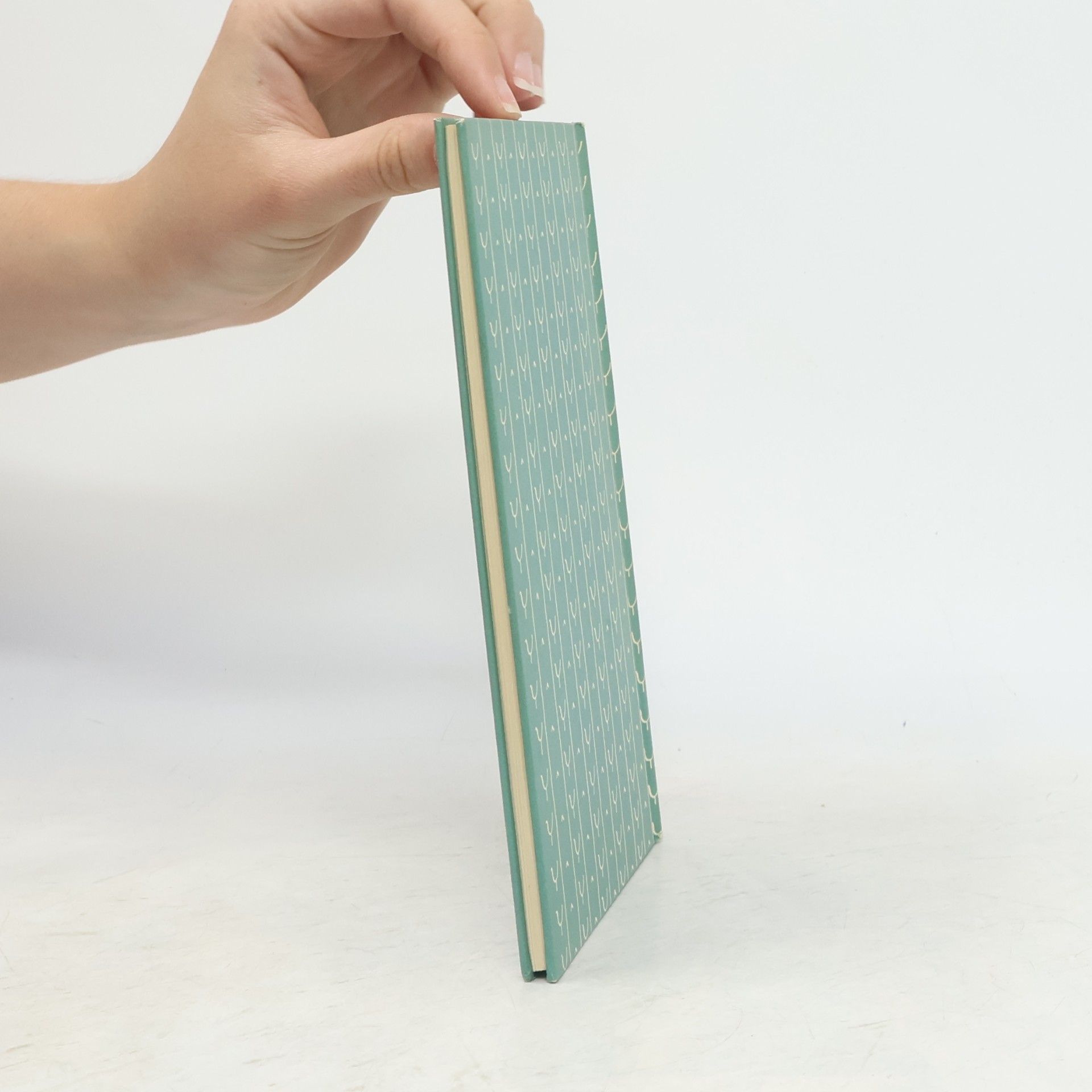 Rolf Dircksen Das kleine Vogelbuch