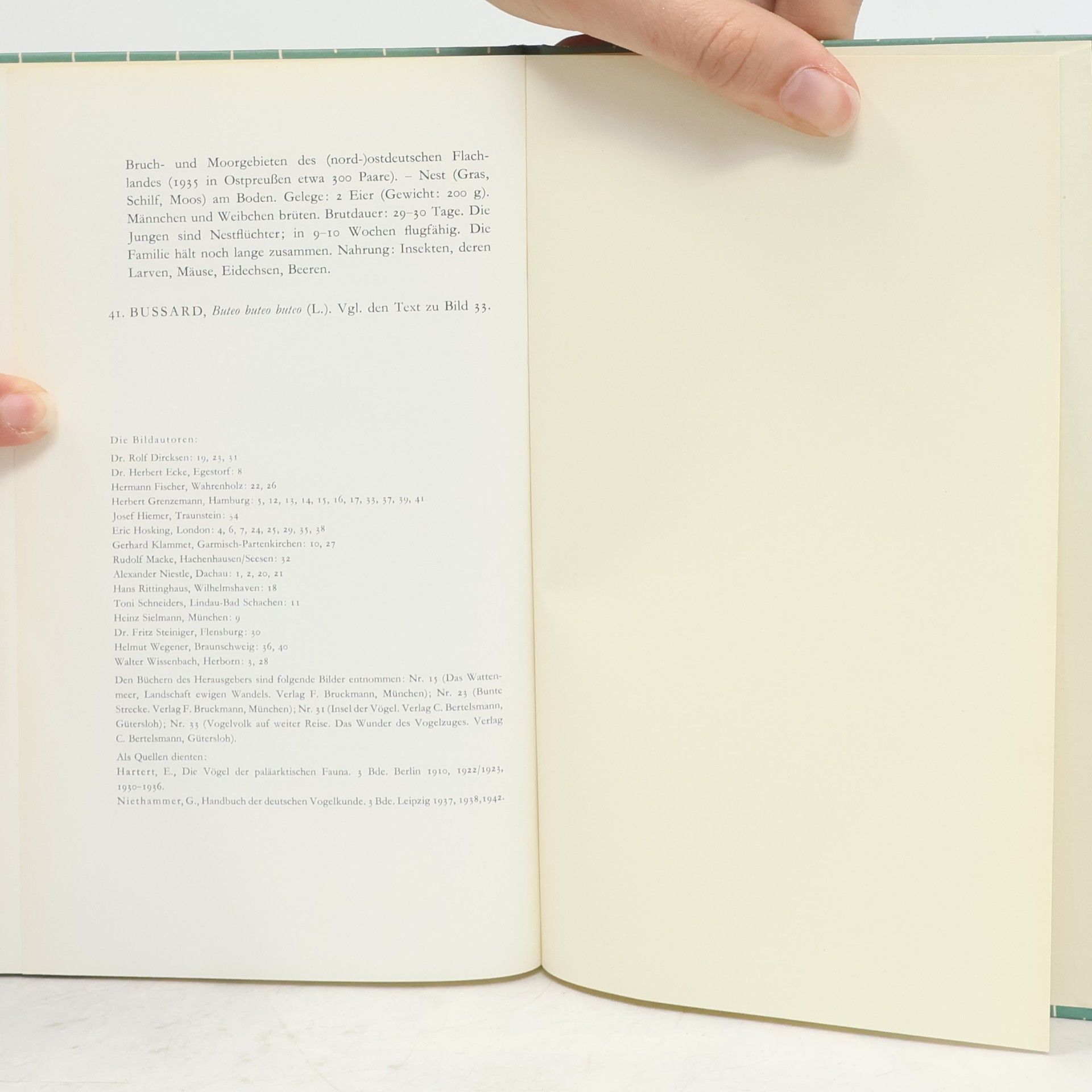Rolf Dircksen Das kleine Vogelbuch