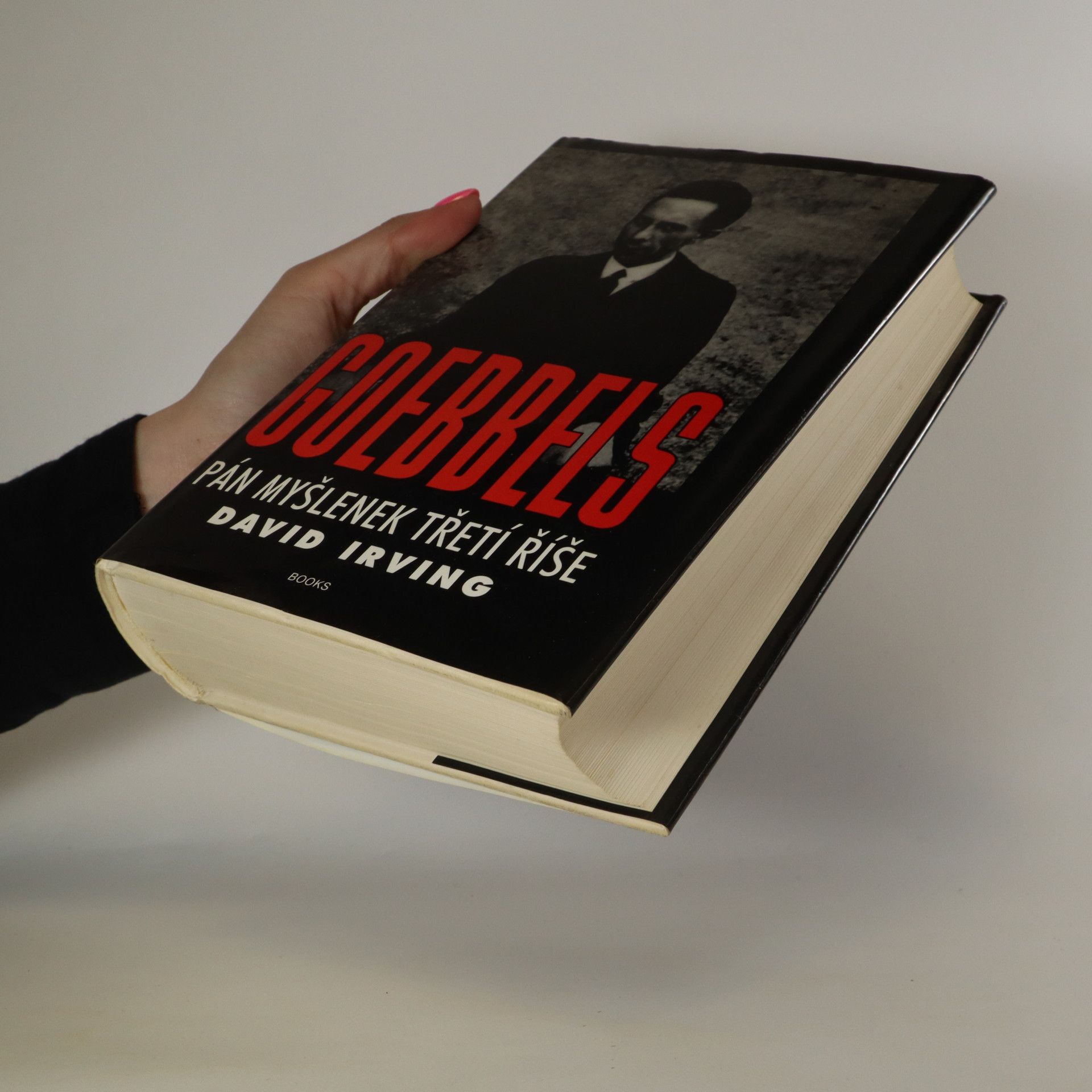 David Irving Goebbels. Pán myšlenek Třetí říše