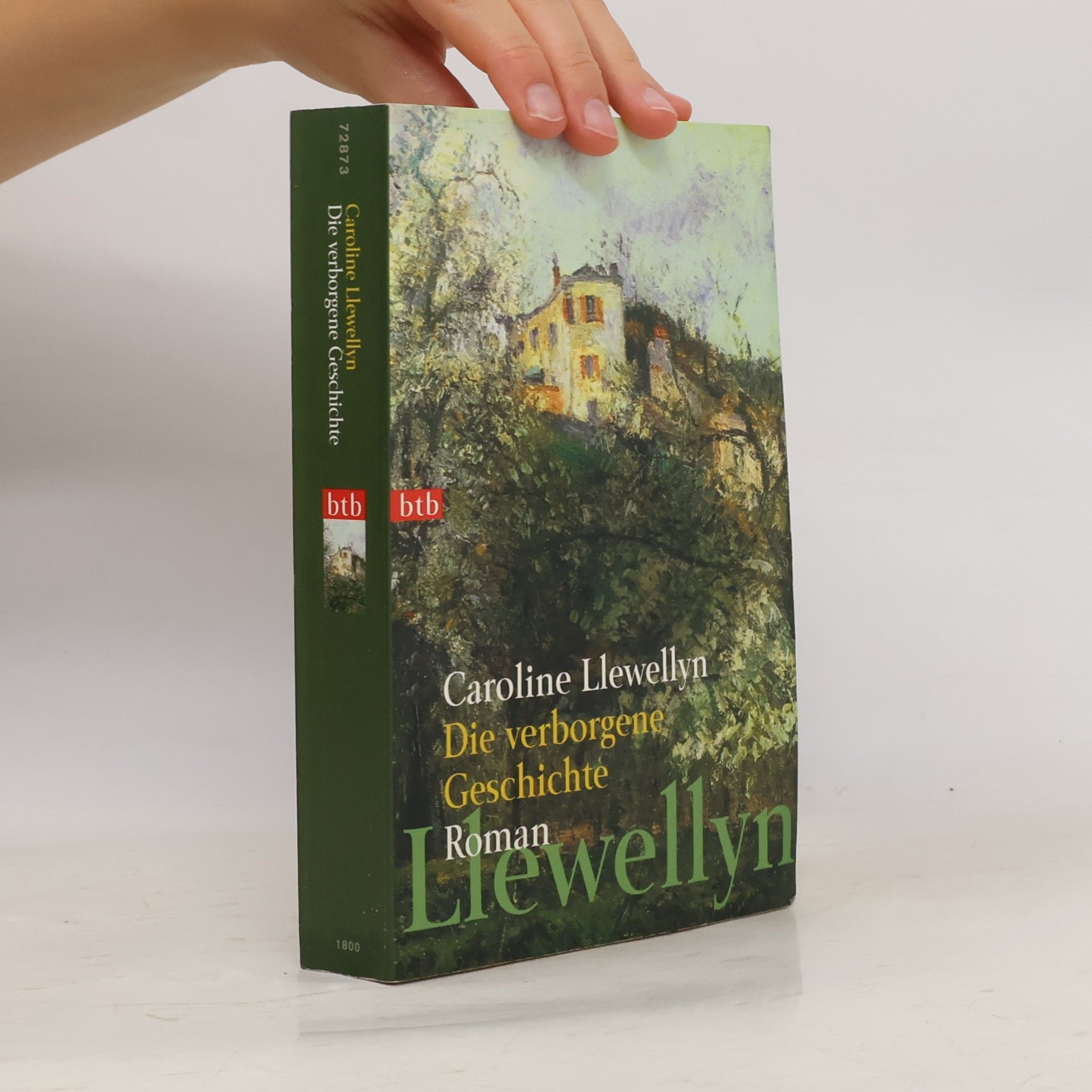 Caroline Llewellyn Die verborgene Geschichte