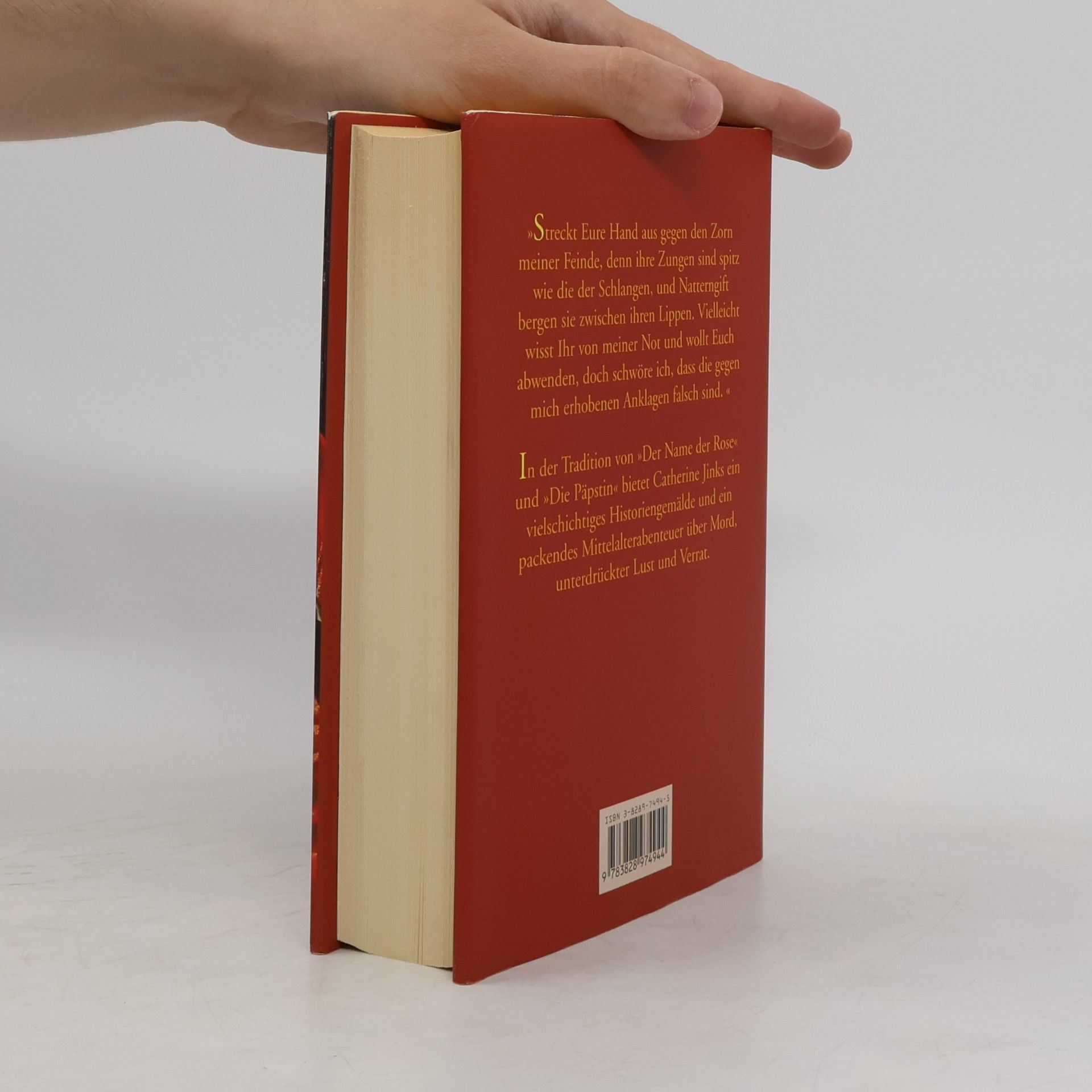 Catherine Jinks Der Inquisitor