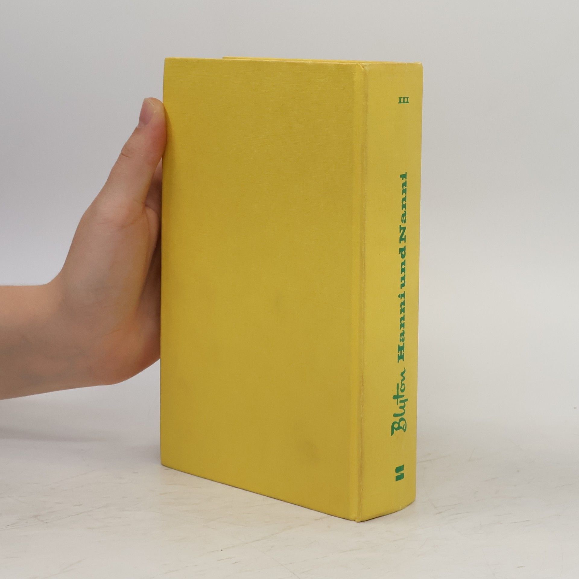 Enid Blyton Hanni und Nanni. Sammelband 3
