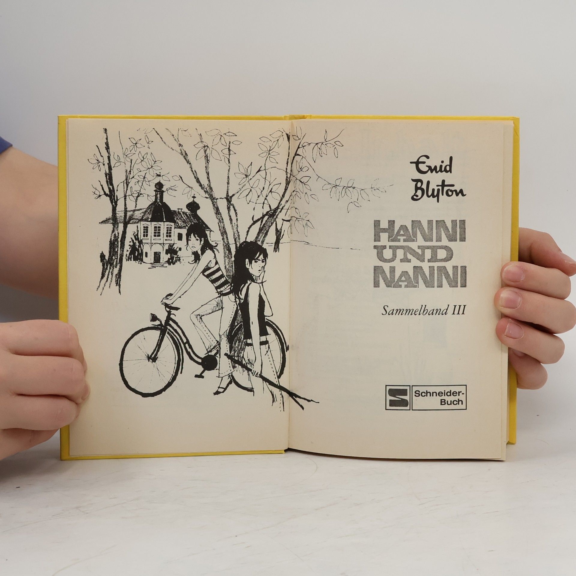 Enid Blyton Hanni und Nanni. Sammelband 3