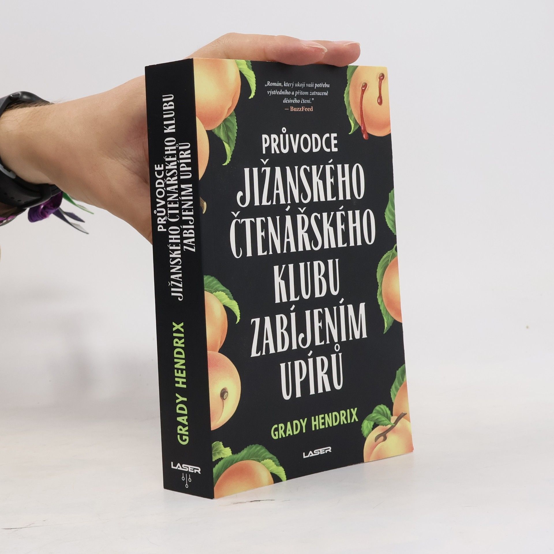 Grady Hendrix Průvodce jižanského čtenářského klubu zabíjením upírů