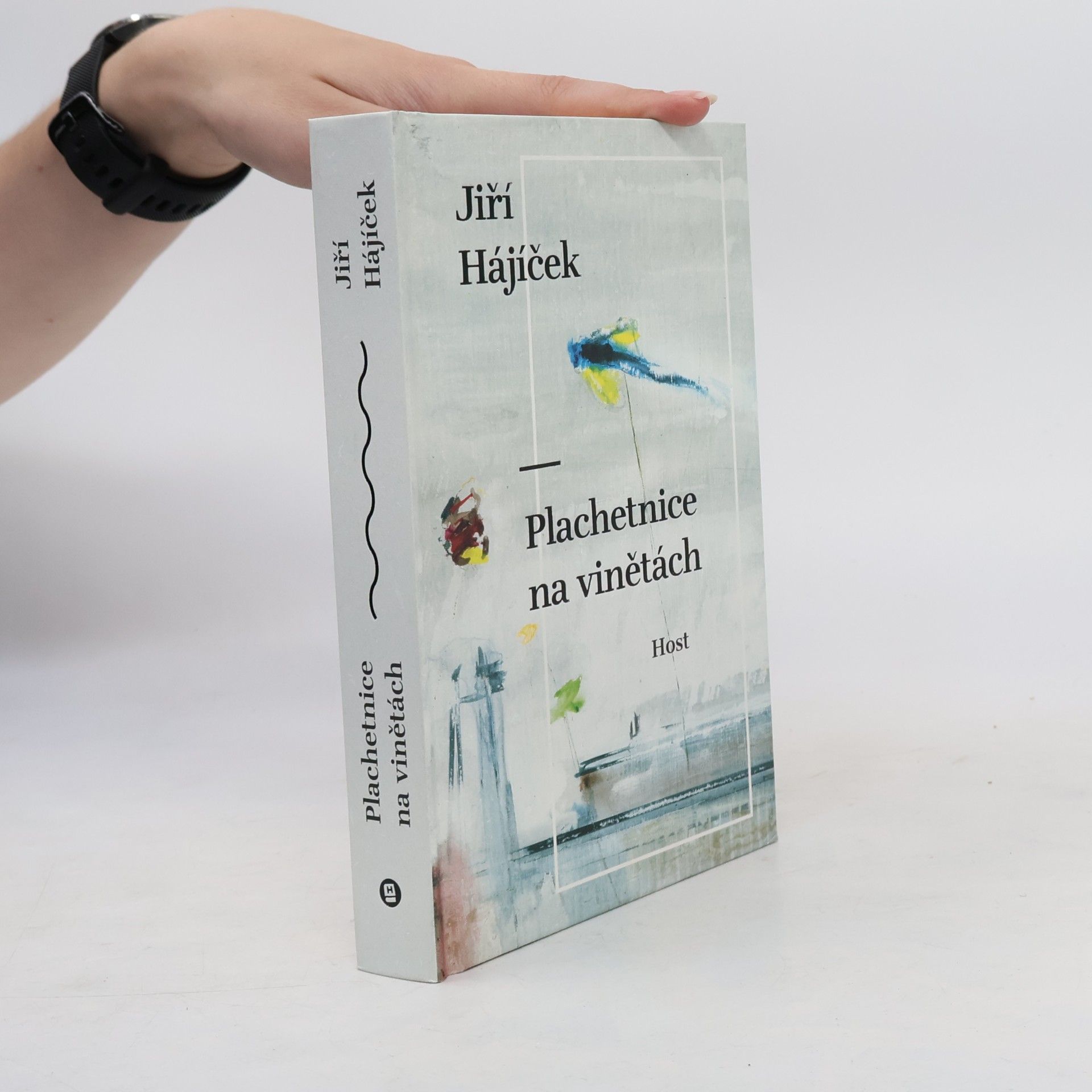 Jiří Hájíček Plachetnice na vinětách