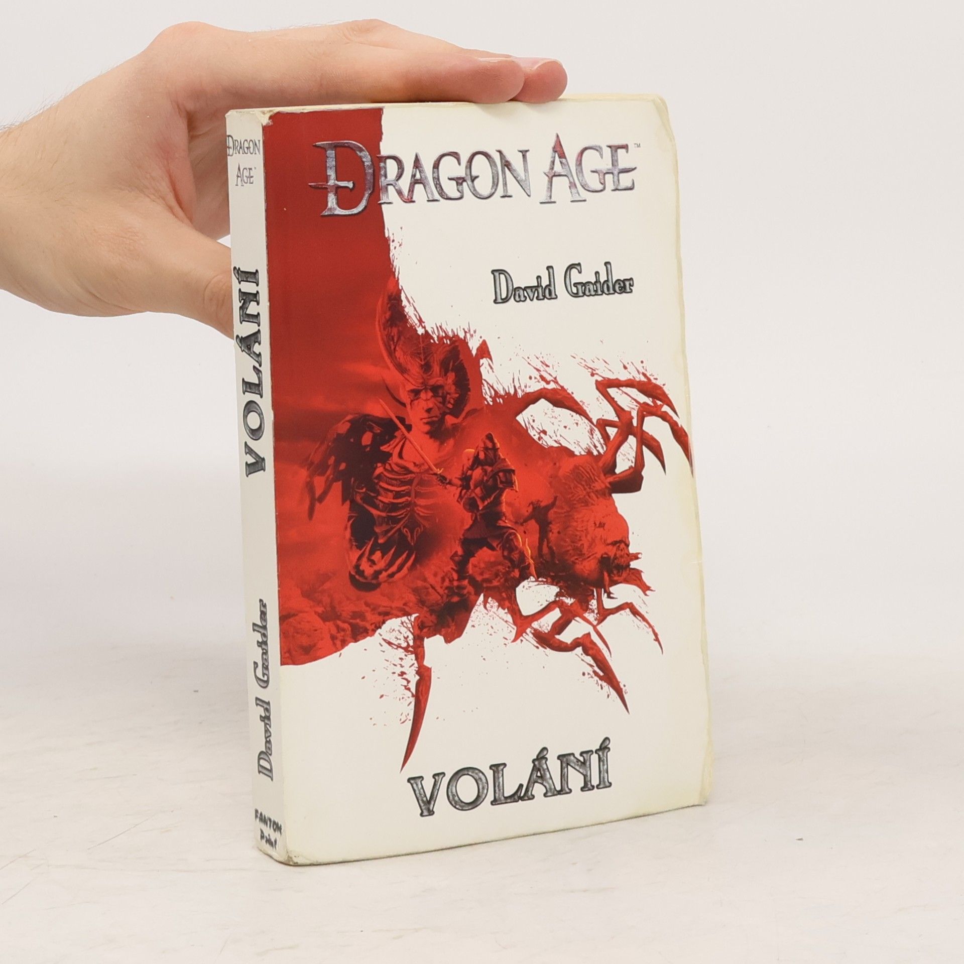 David Gaider Dragon age. Volání