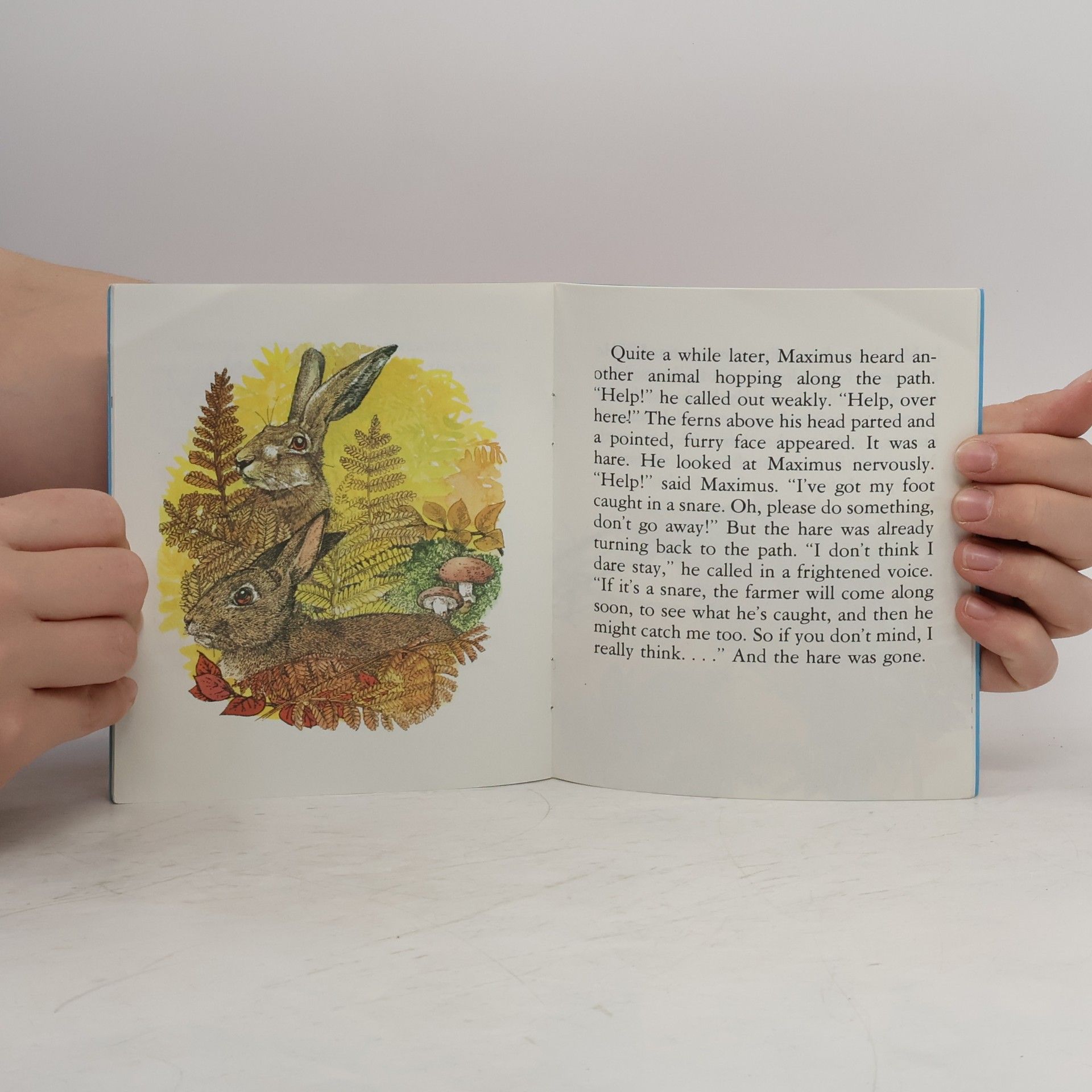 Terence Kelshaw Rabbit in Danger