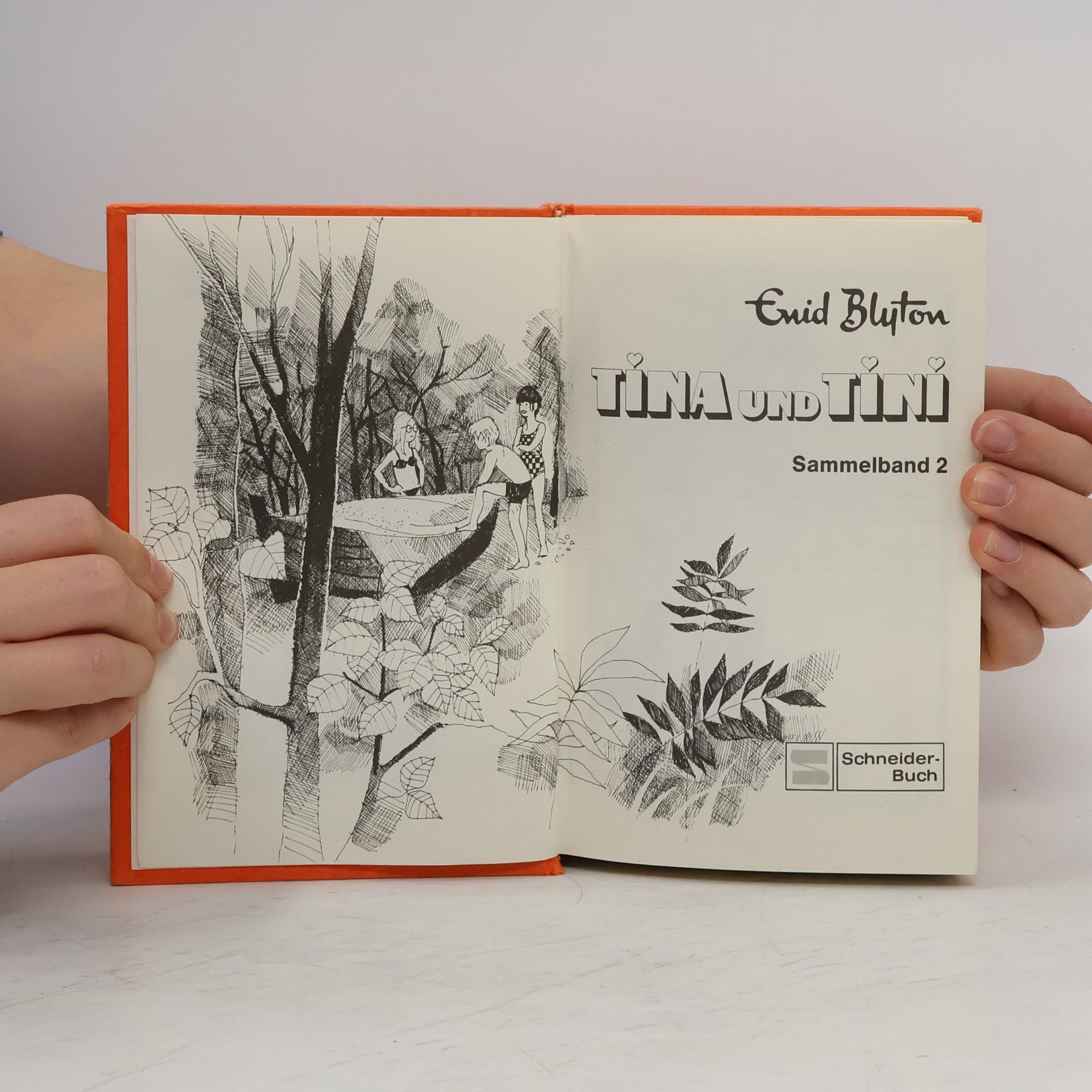 Enid Blyton Tina und Tini