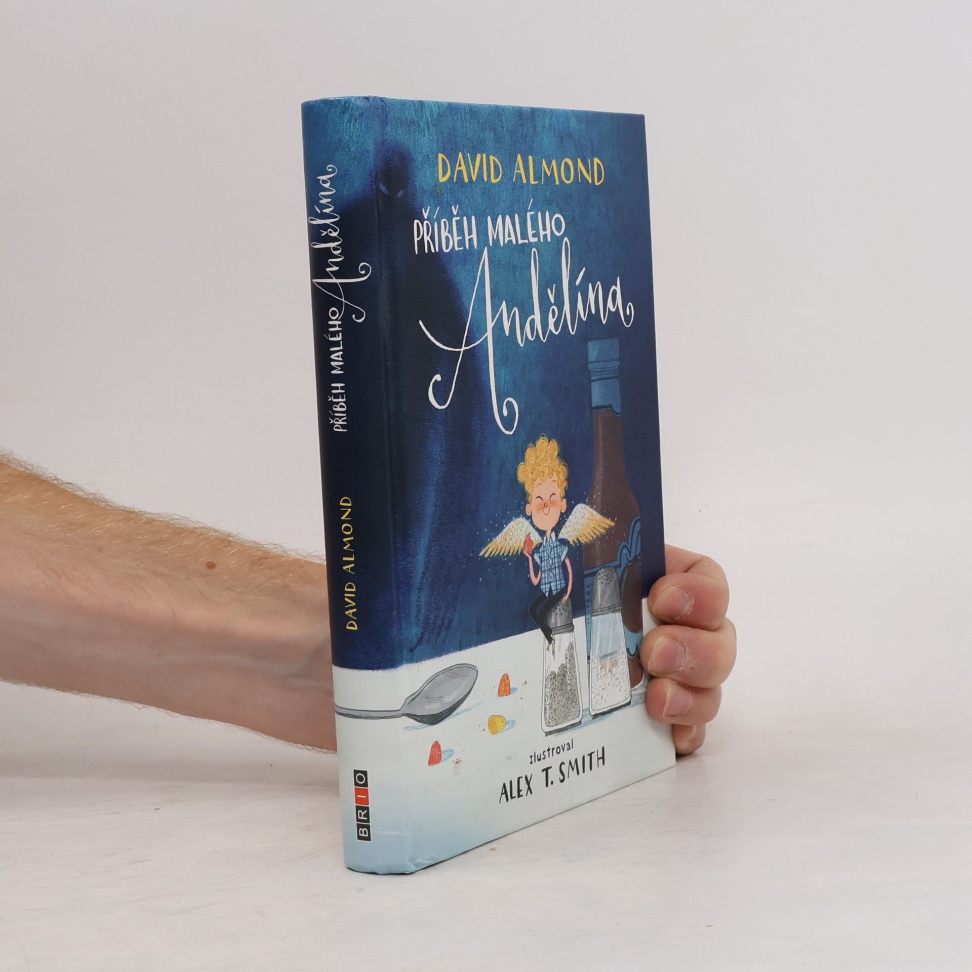 David Almond Příběh malého Andělína
