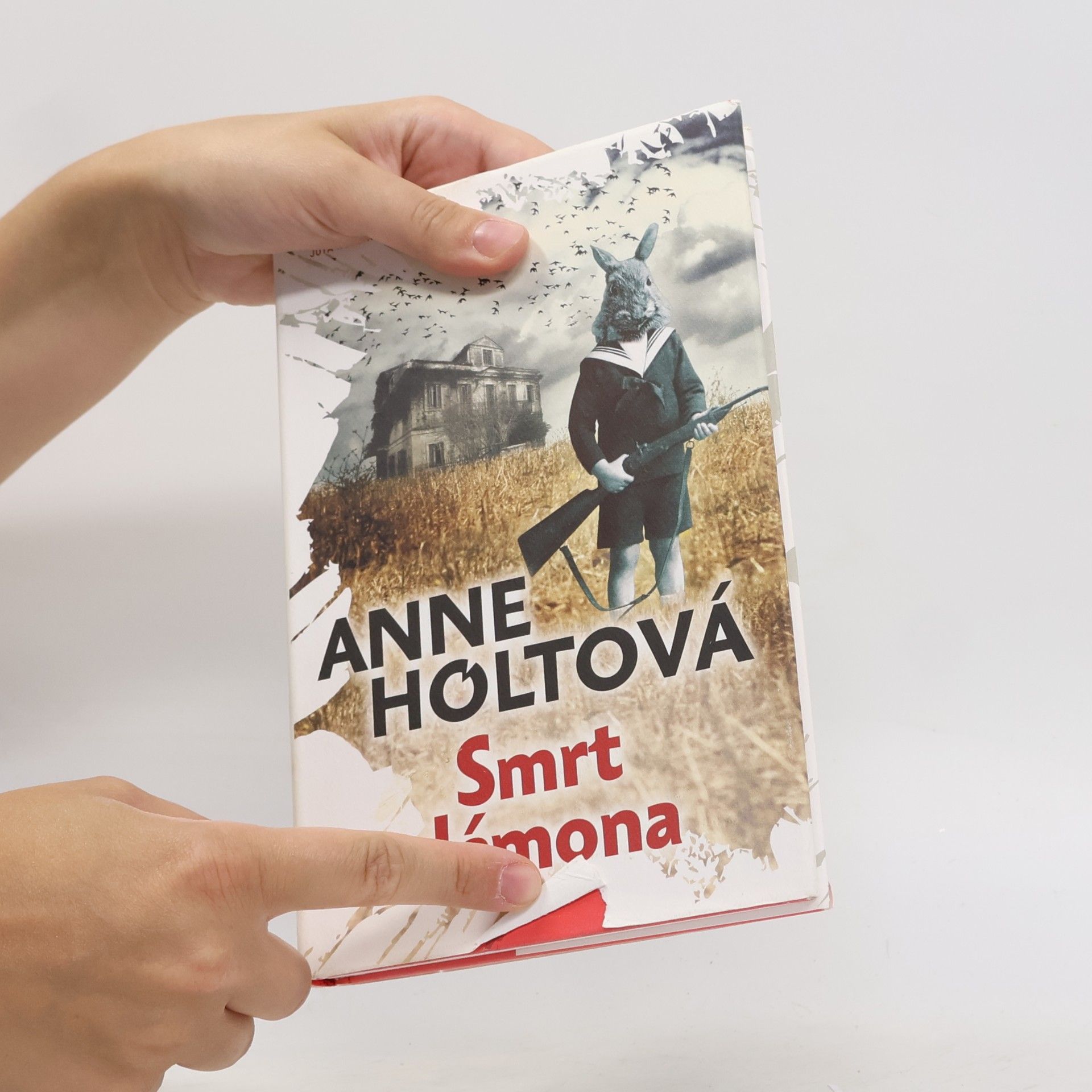 Anne Holt Smrt démona