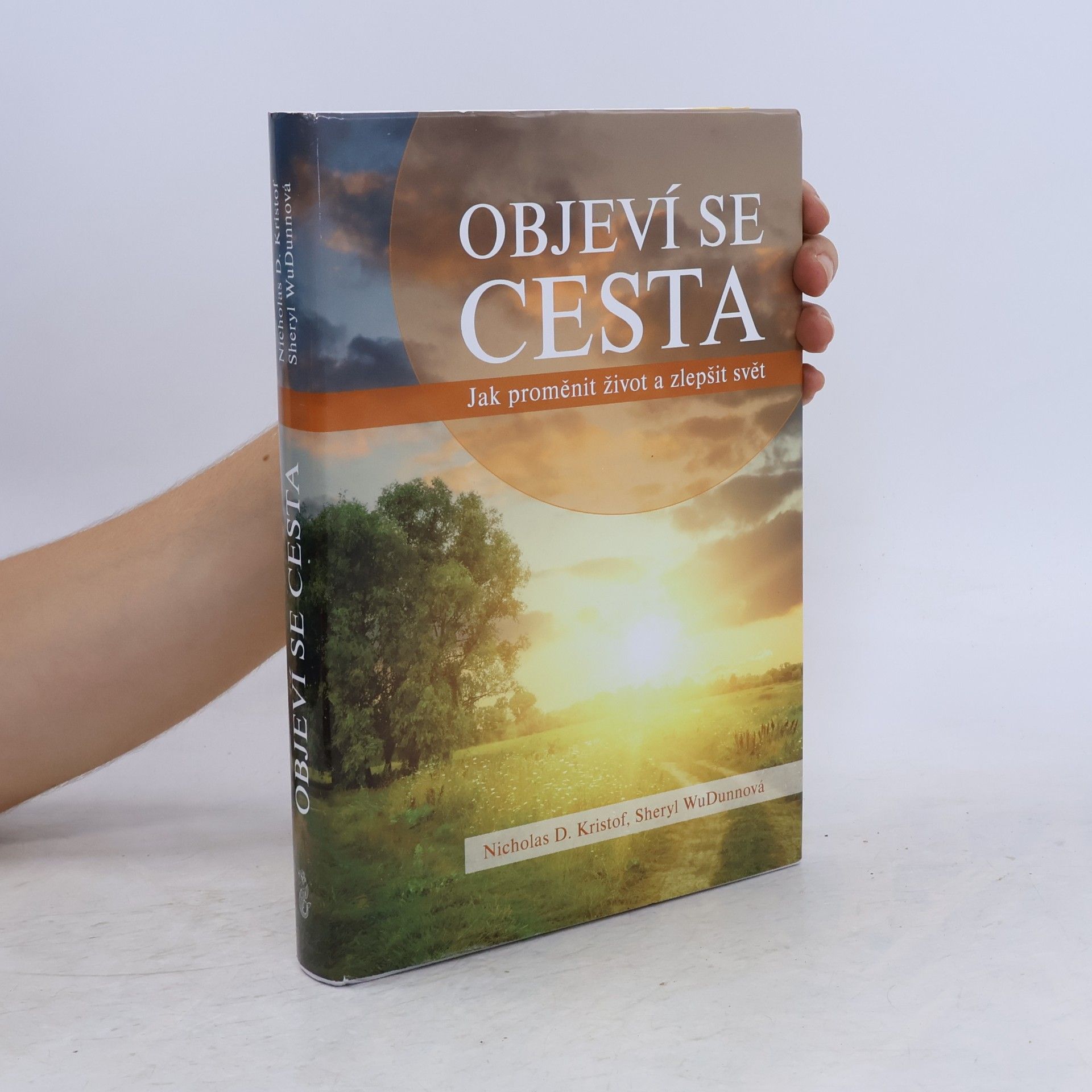 Sheryl WuDunn Objeví se cesta - Jak proměnit život a zlepšit svět